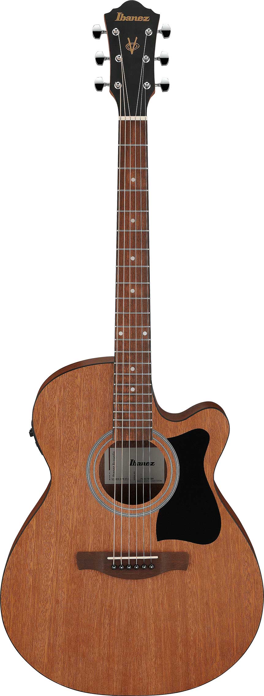 GUITARGUITAR Ibanez VC44CE Open Pore Natural