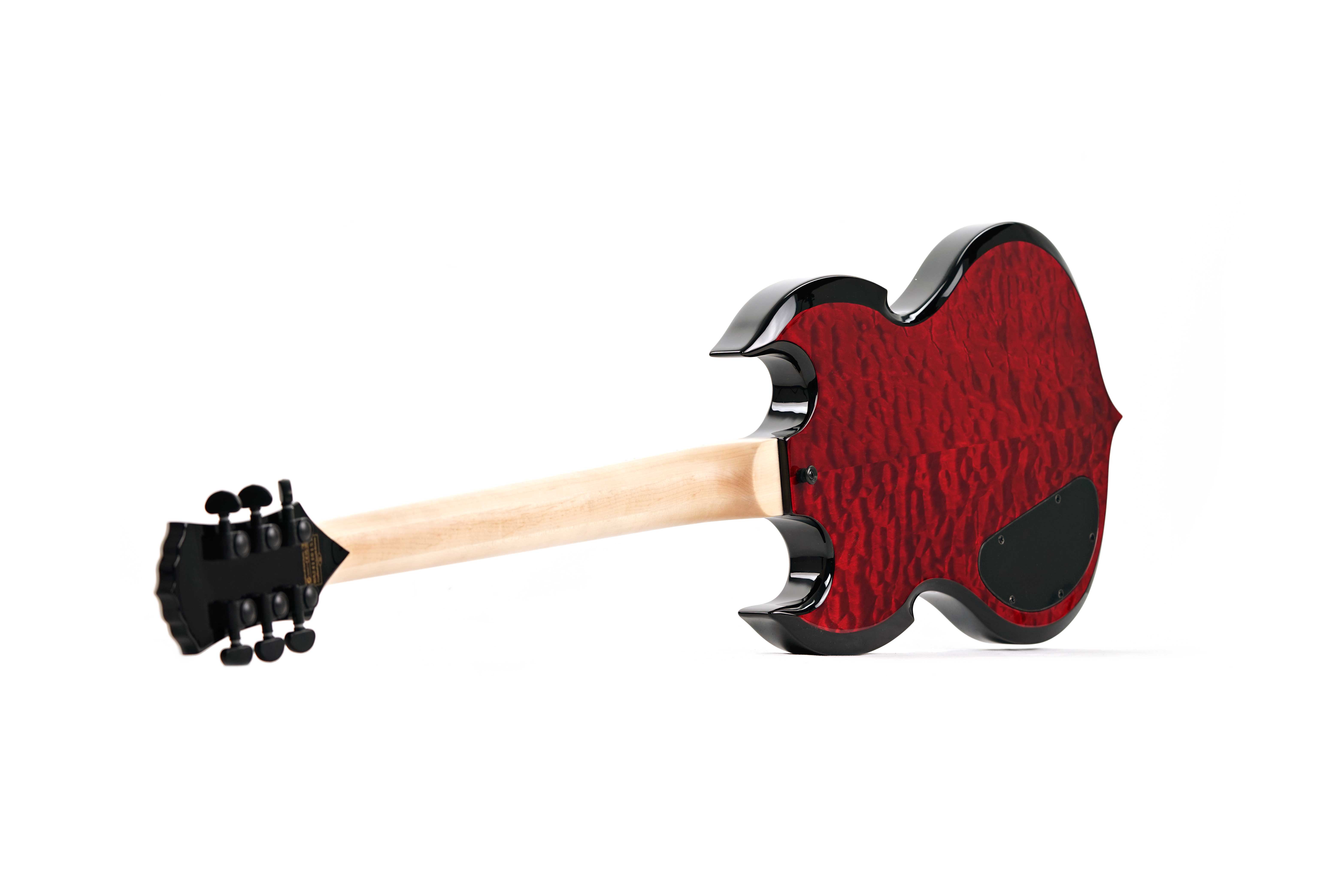 GUITARGUITAR Wylde Audio Barbarian Blood Raven