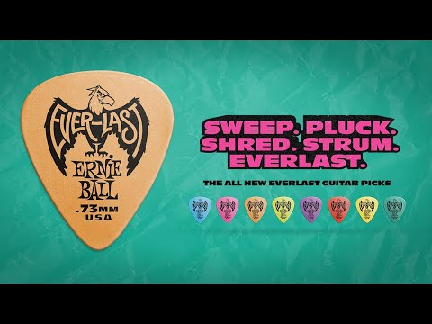 GUITARGUITAR Ernie Ball Everlast Blue 0.48mm 12 Pack Plectrums