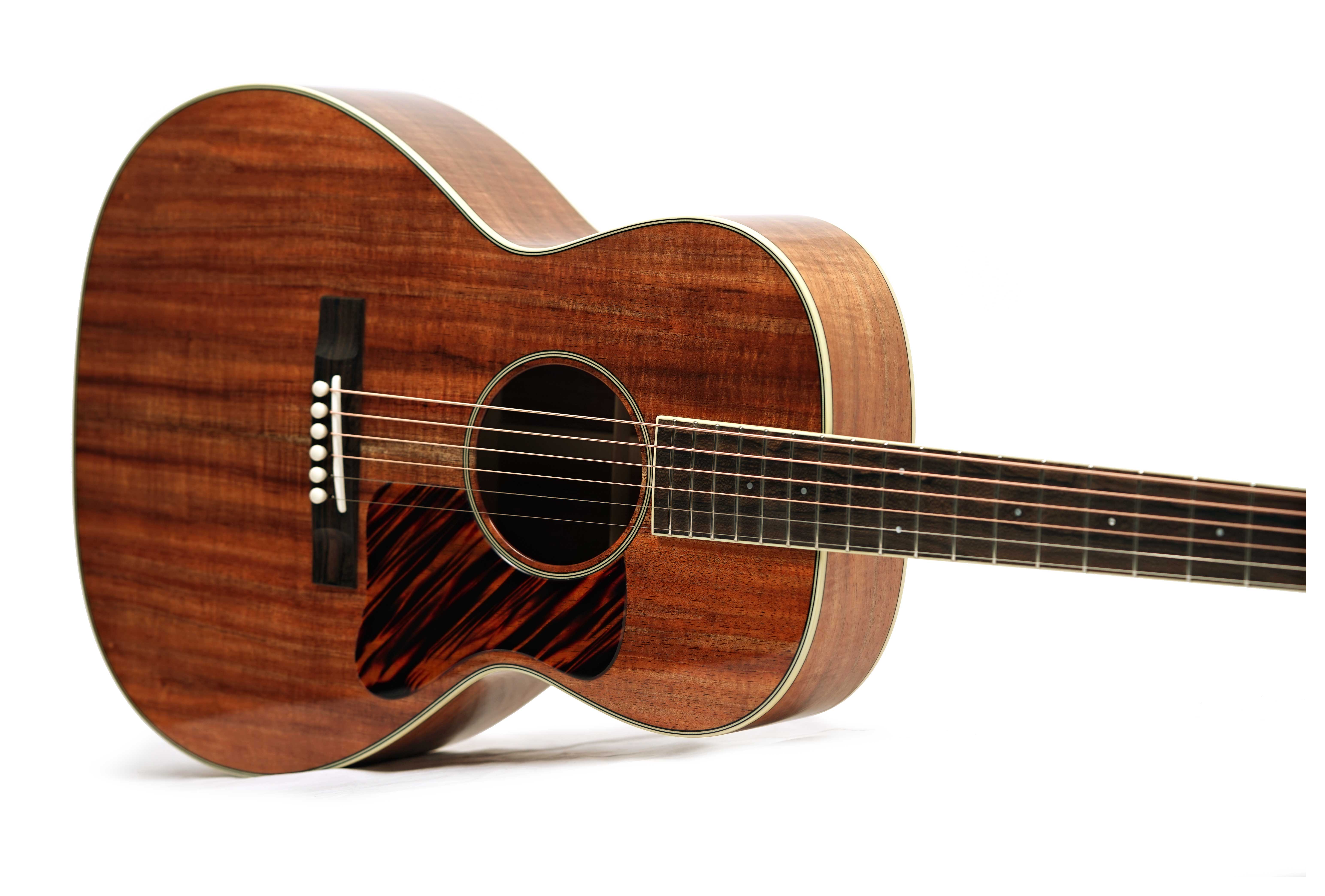 GUITARGUITAR Bourgeois Downeast Series Bourgeois Blues LDB #T2511220