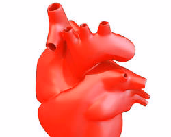 3D printed heart