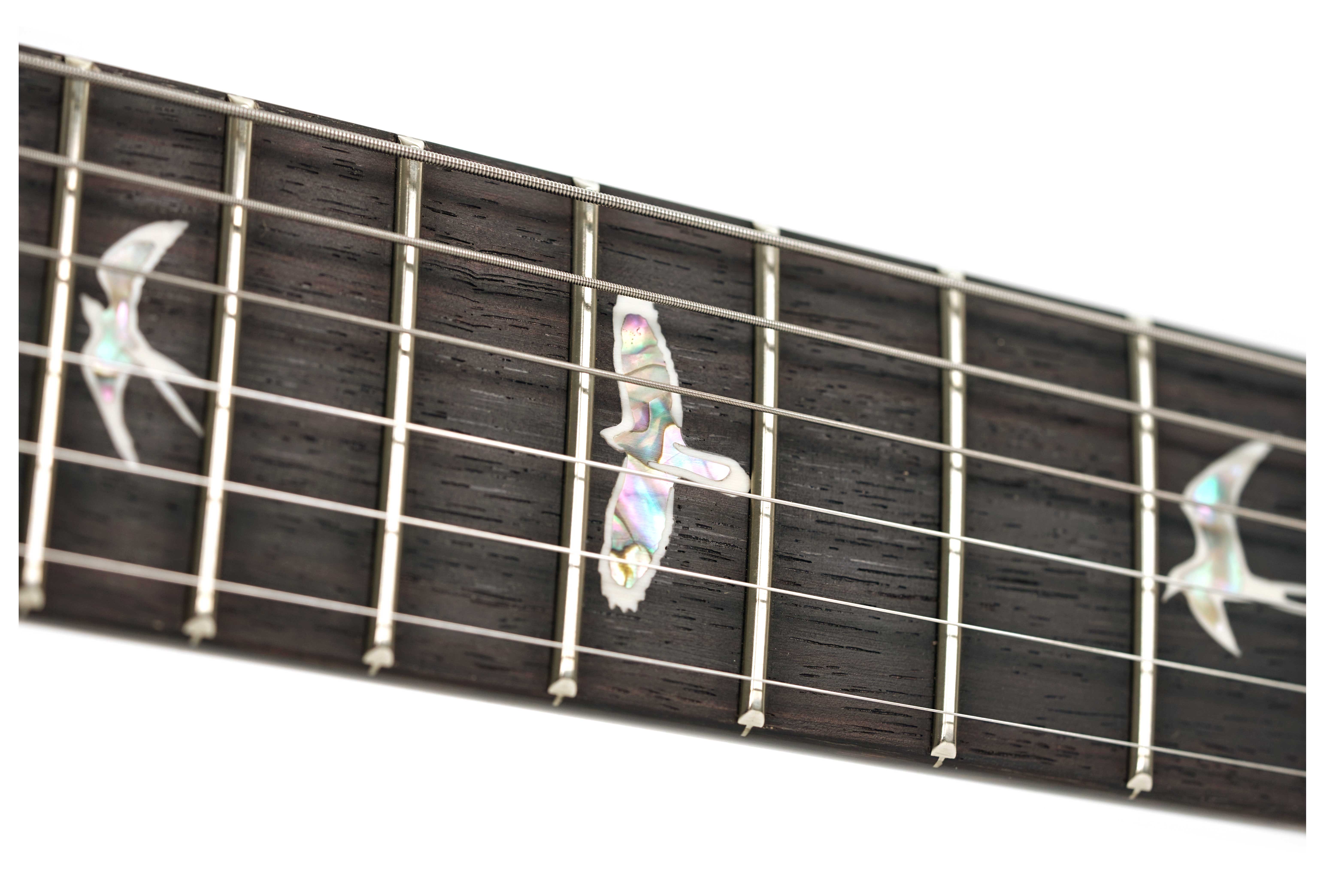 GUITARGUITAR PRS Custom 24 Black Gold #0389996