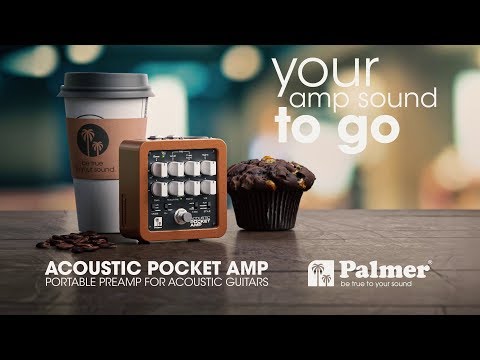 GUITARGUITAR Palmer Pocket Amp Acoustic - Portable Preamp for Acoustic String Instruments