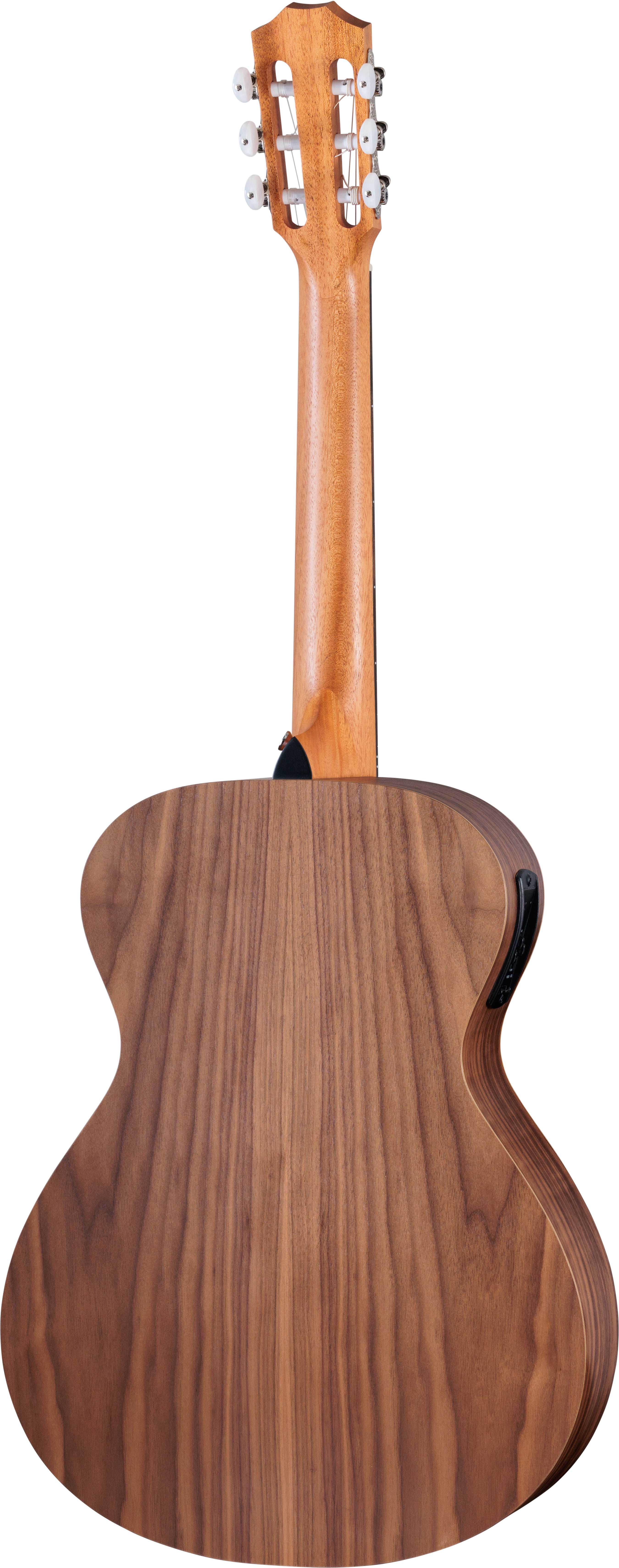 GUITARGUITAR Taylor Academy 12e-N Grand Concert Walnut