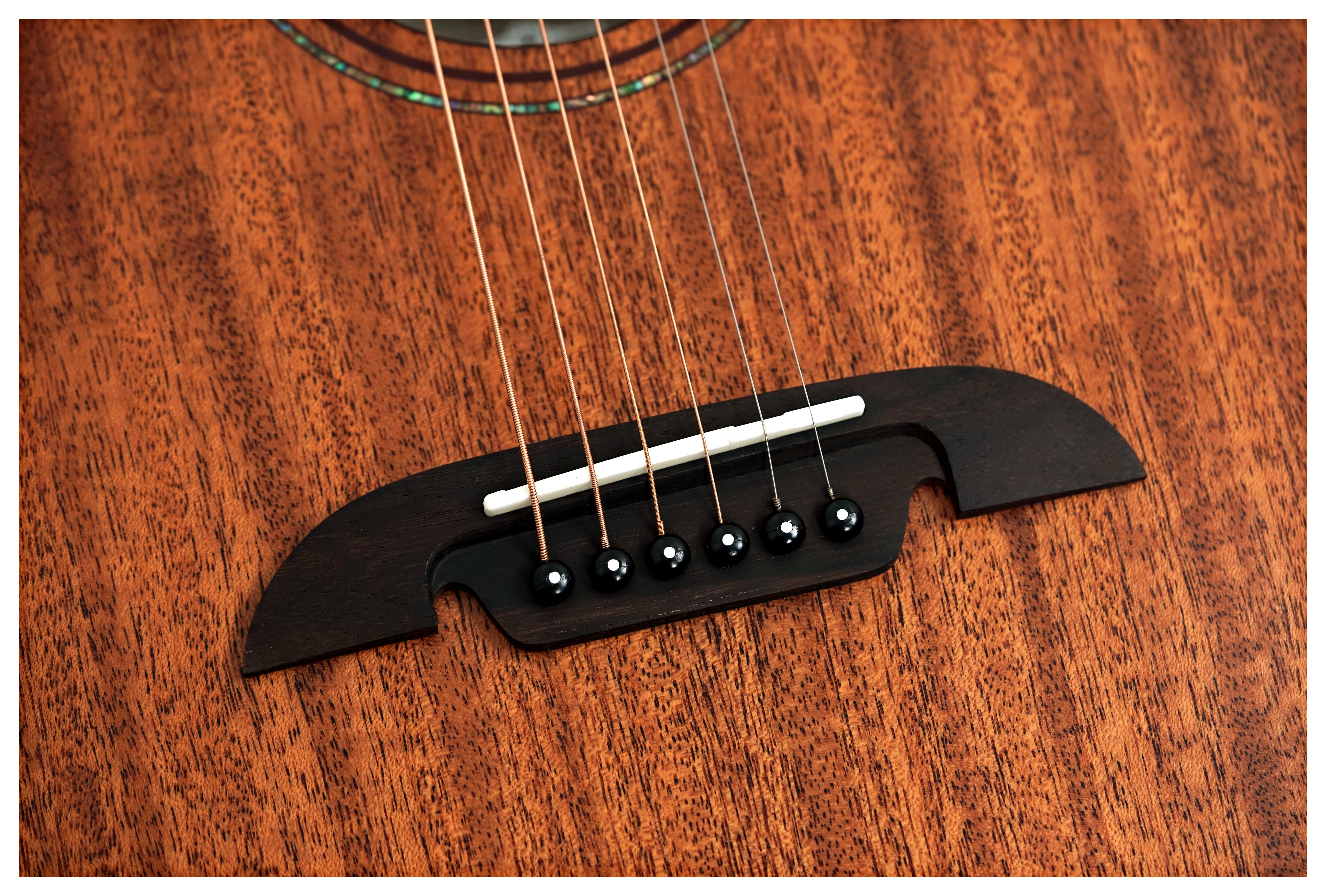 GUITARGUITAR Alvarez Limited Edition Artist Series AF66 Mahogany