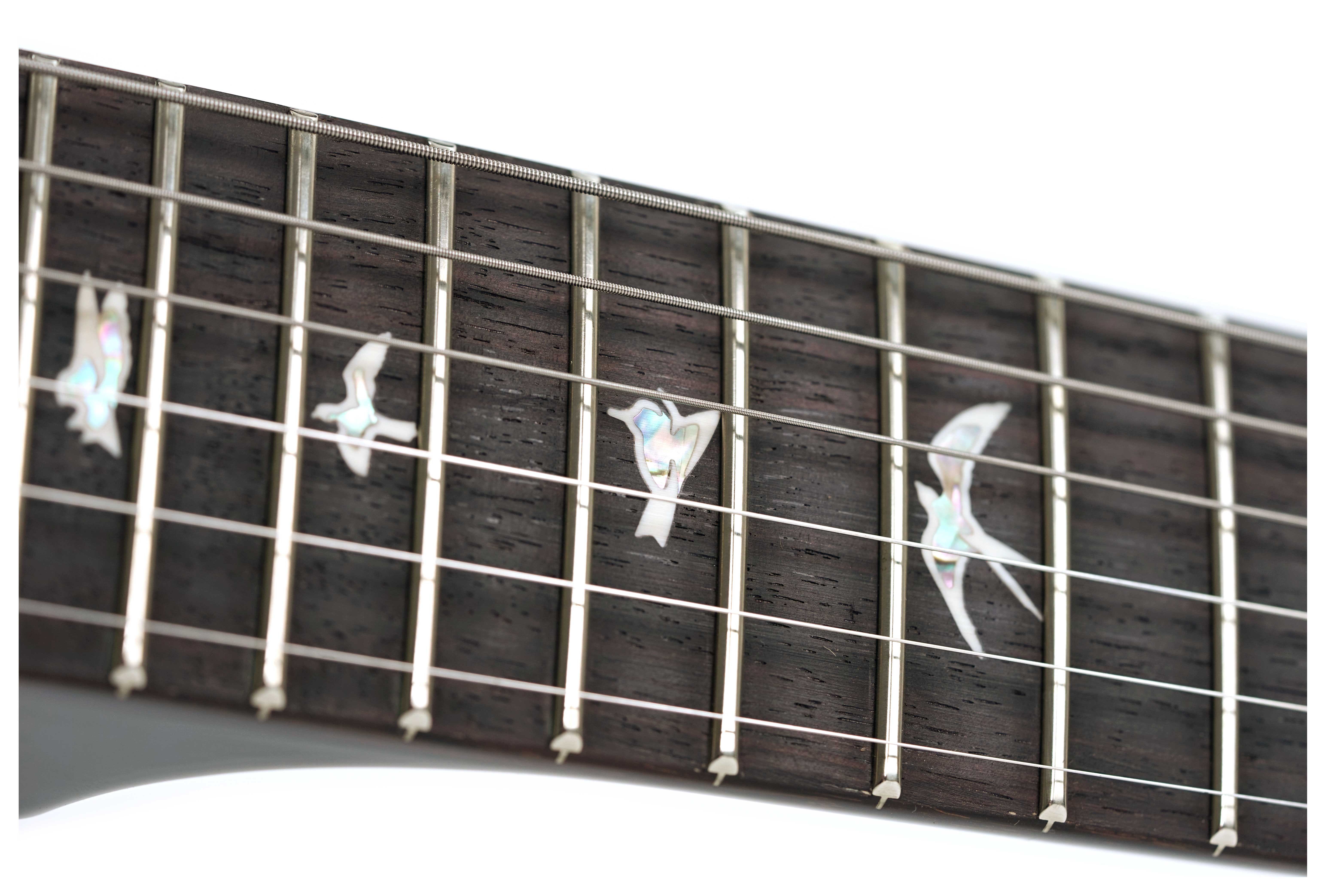 GUITARGUITAR PRS Custom 24 Black Gold #0389996