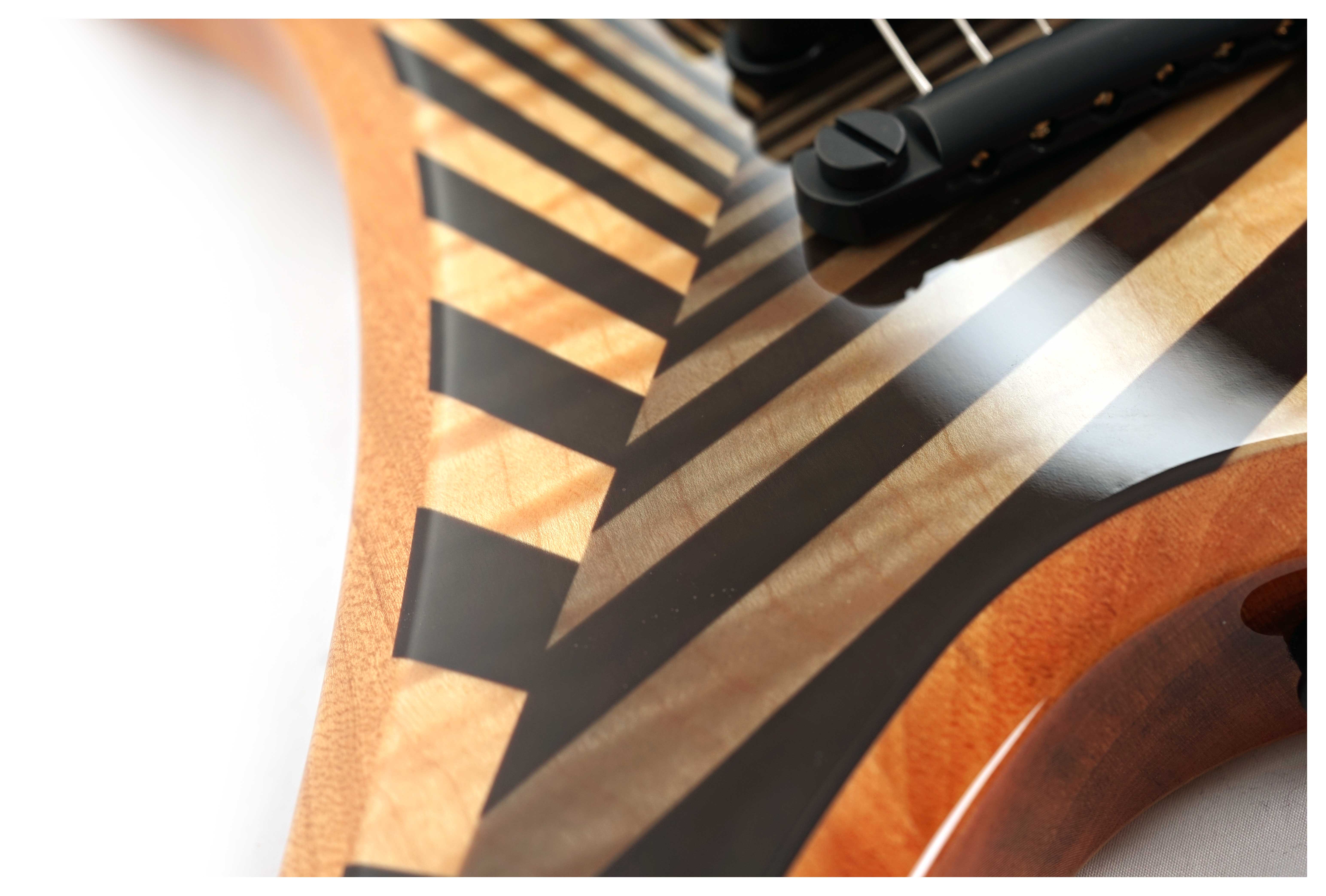 GUITARGUITAR Wylde Audio Berzerker Corridors