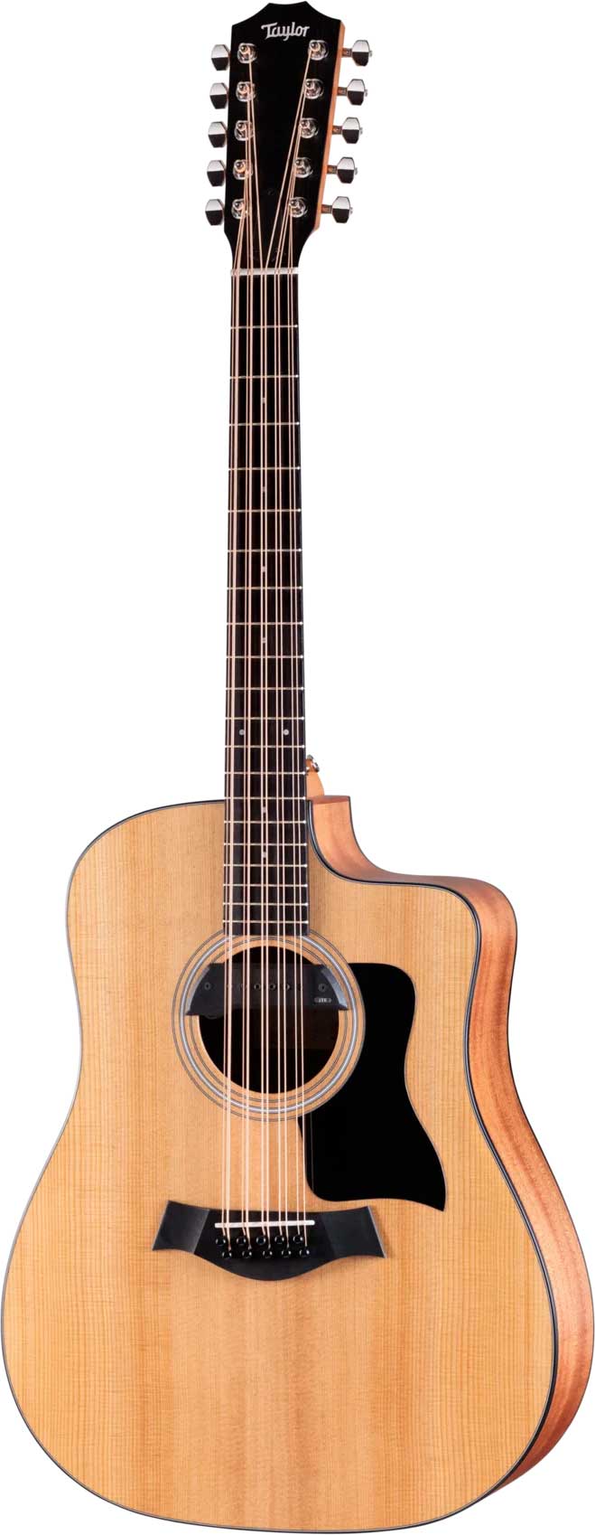 GUITARGUITAR Taylor Somos 150ce Bajo Quinto 10-string Dreadnought