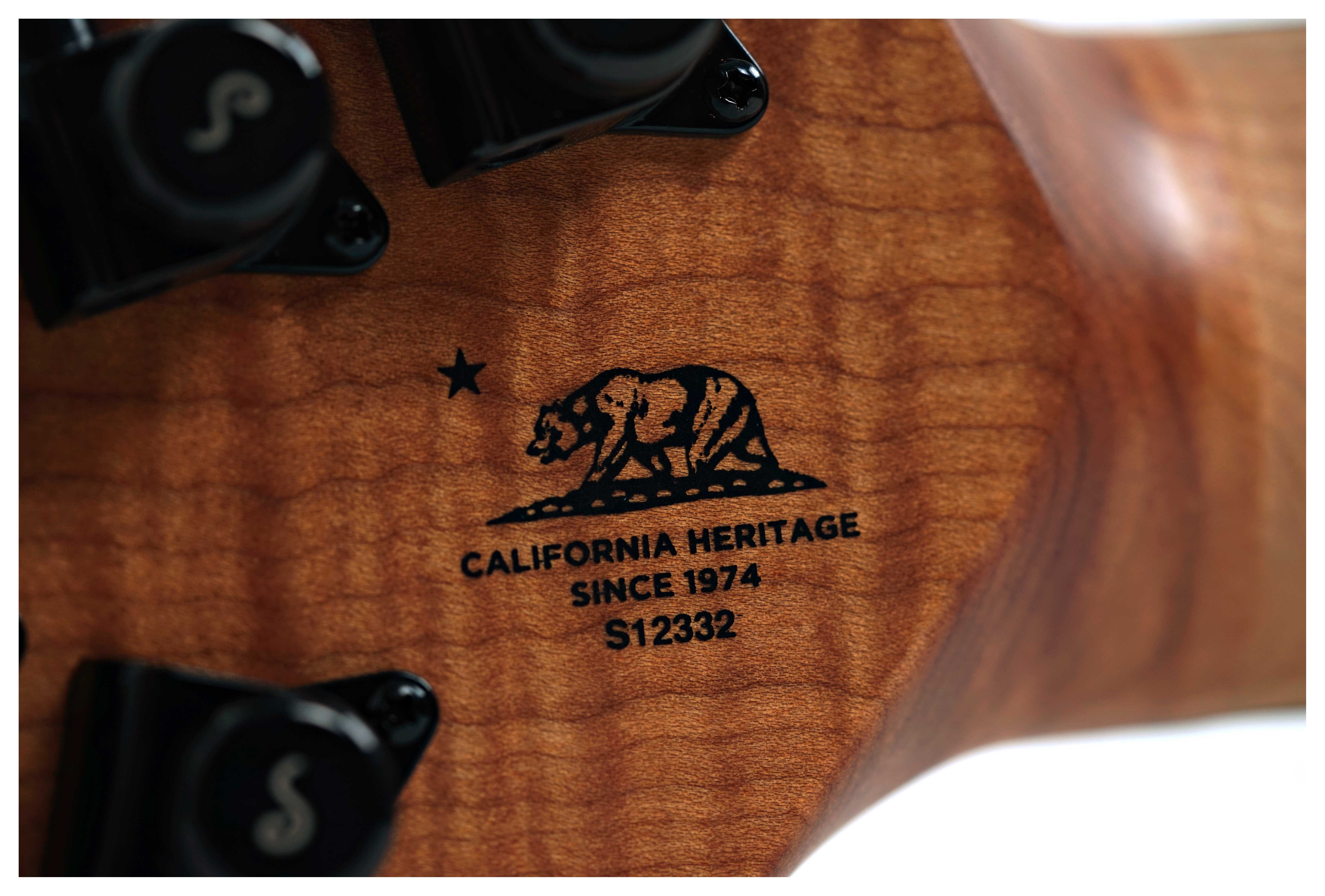 GUITARGUITAR Music Man Cutlass HH Trem 7 Jason Richardson Burl Ebony Fingerboard #S12332