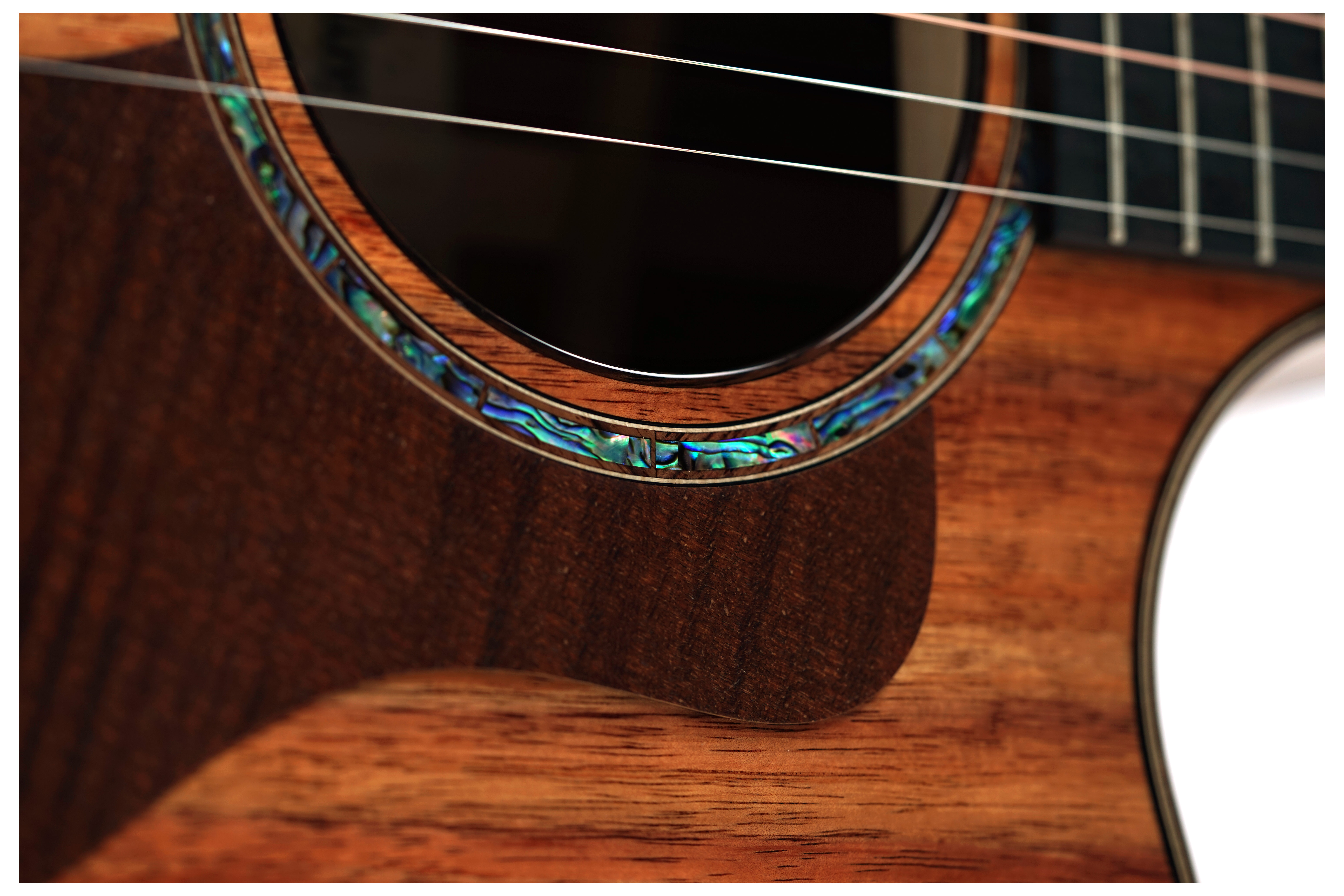 GUITARGUITAR Taylor 724ce Gloss Grand Auditorium #1204155049