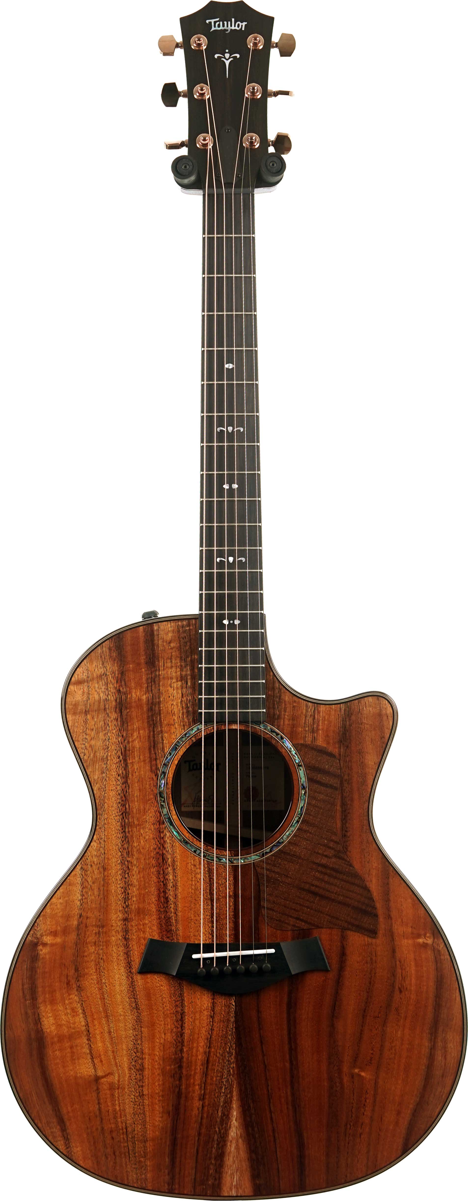 GUITARGUITAR Taylor 724ce Gloss Grand Auditorium #1203285072