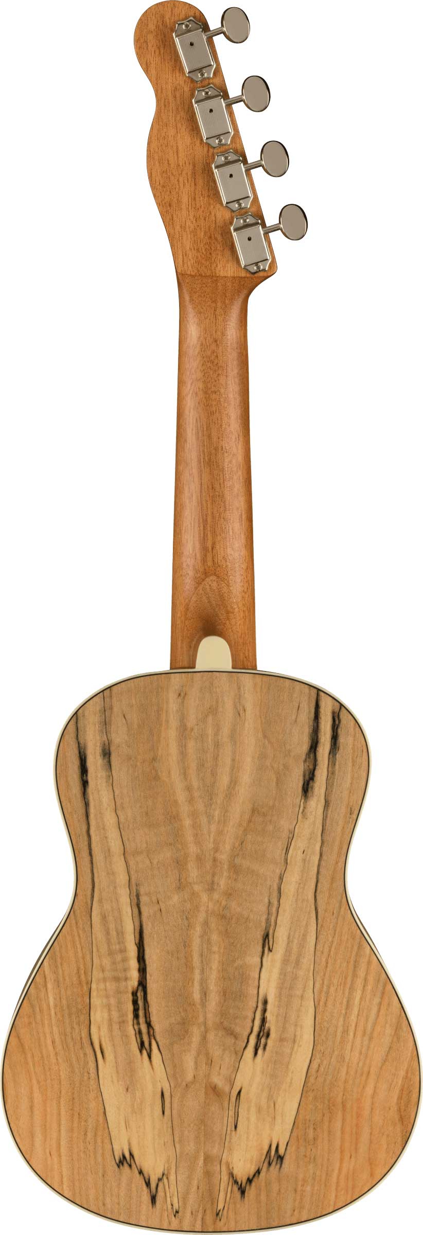 GUITARGUITAR Fender Zuma Exotic Concert Ukulele Walnut Fingerboard Spalted Maple