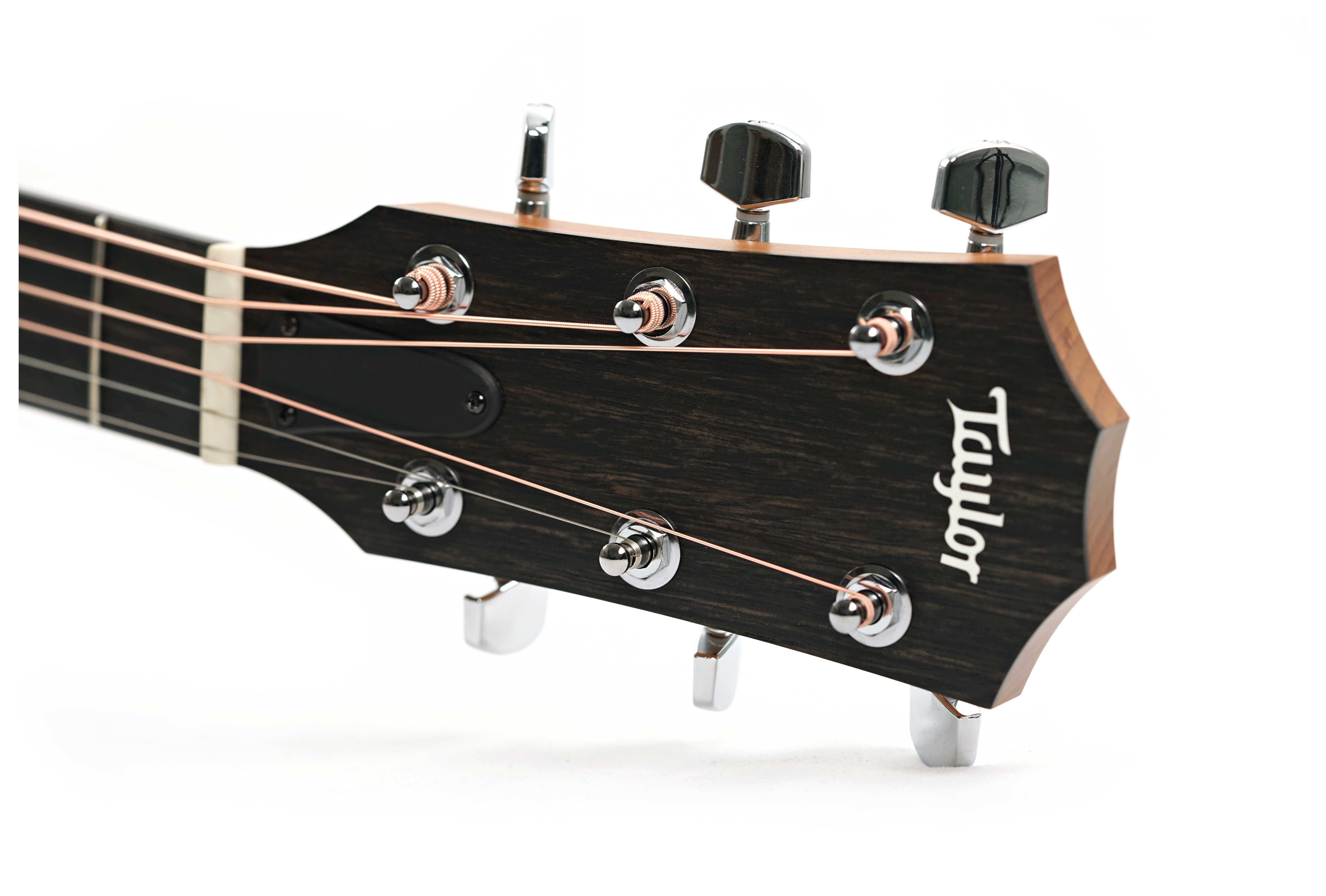 GUITARGUITAR Taylor 110ce-S Sapele C-Class Bracing
