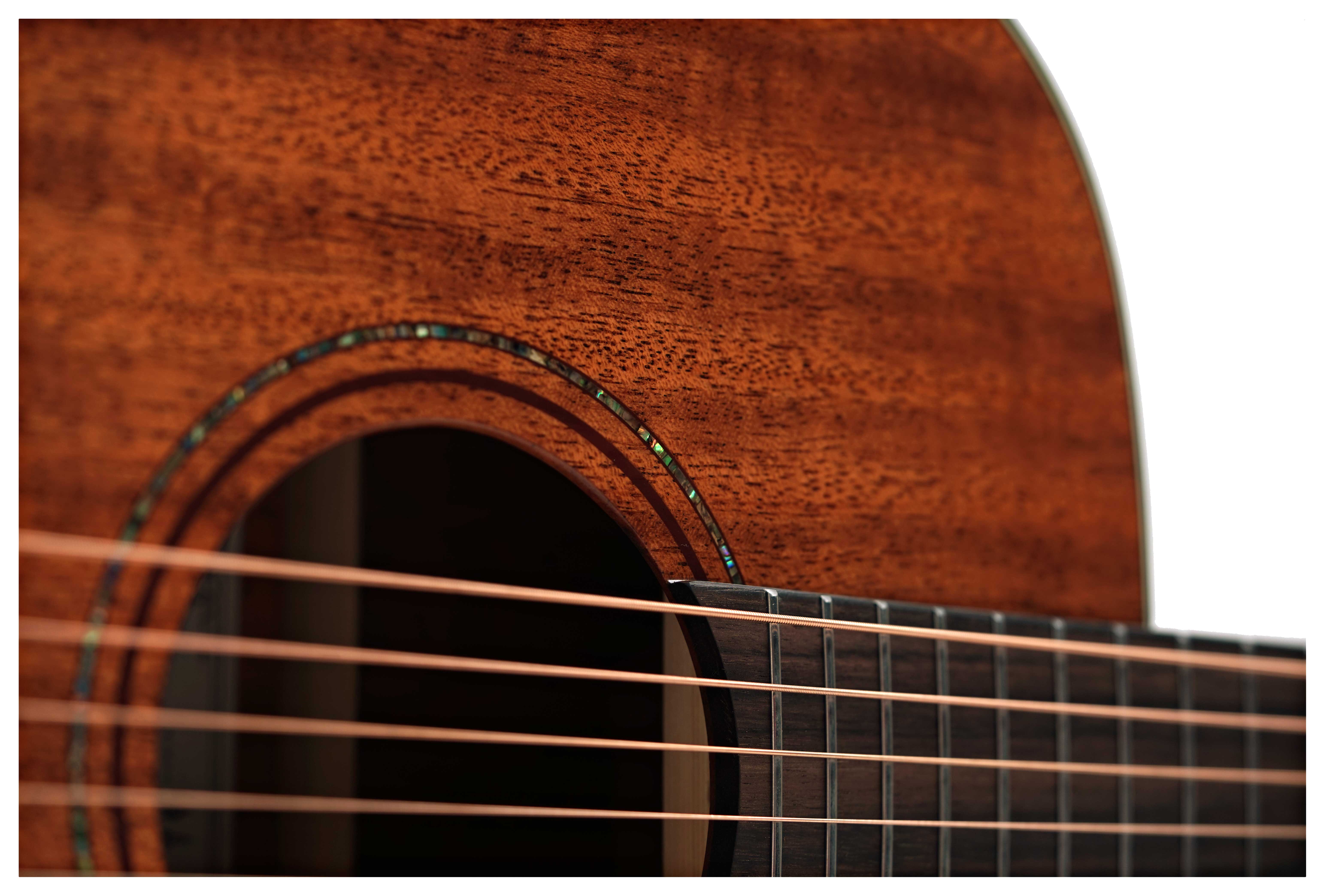GUITARGUITAR Alvarez Limited Edition Artist Series AF66 Mahogany