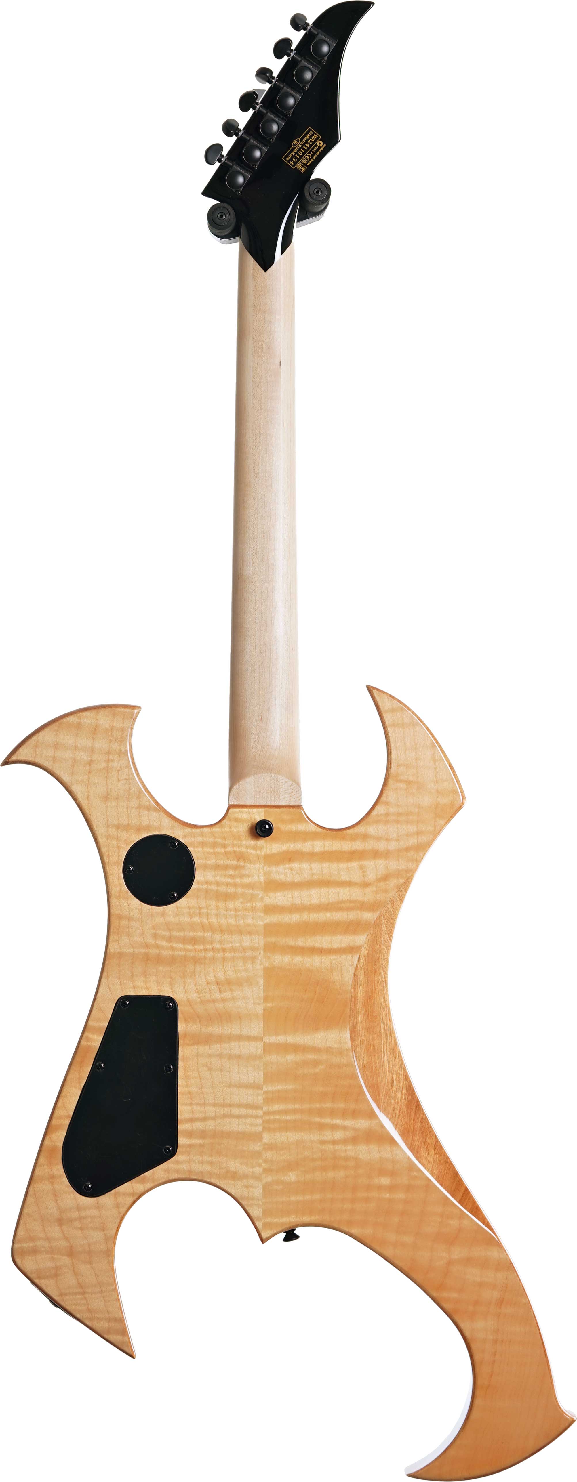 GUITARGUITAR Wylde Audio Berzerker Corridors