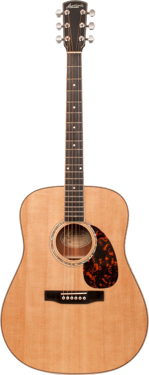 GUITARGUITAR Larrivee D-05