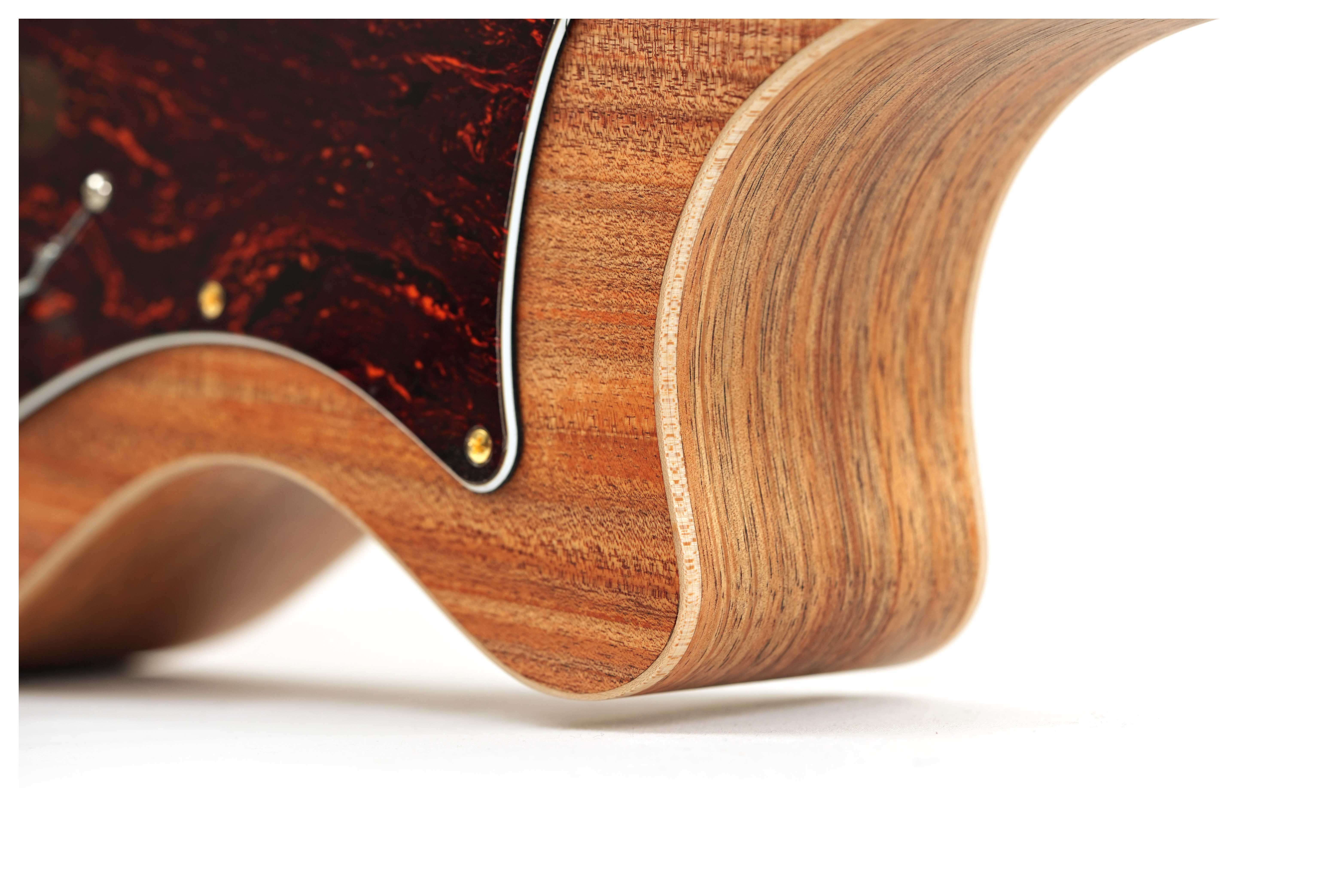 GUITARGUITAR Cole Clark True Hybrid HSS Thinline All Blackwood