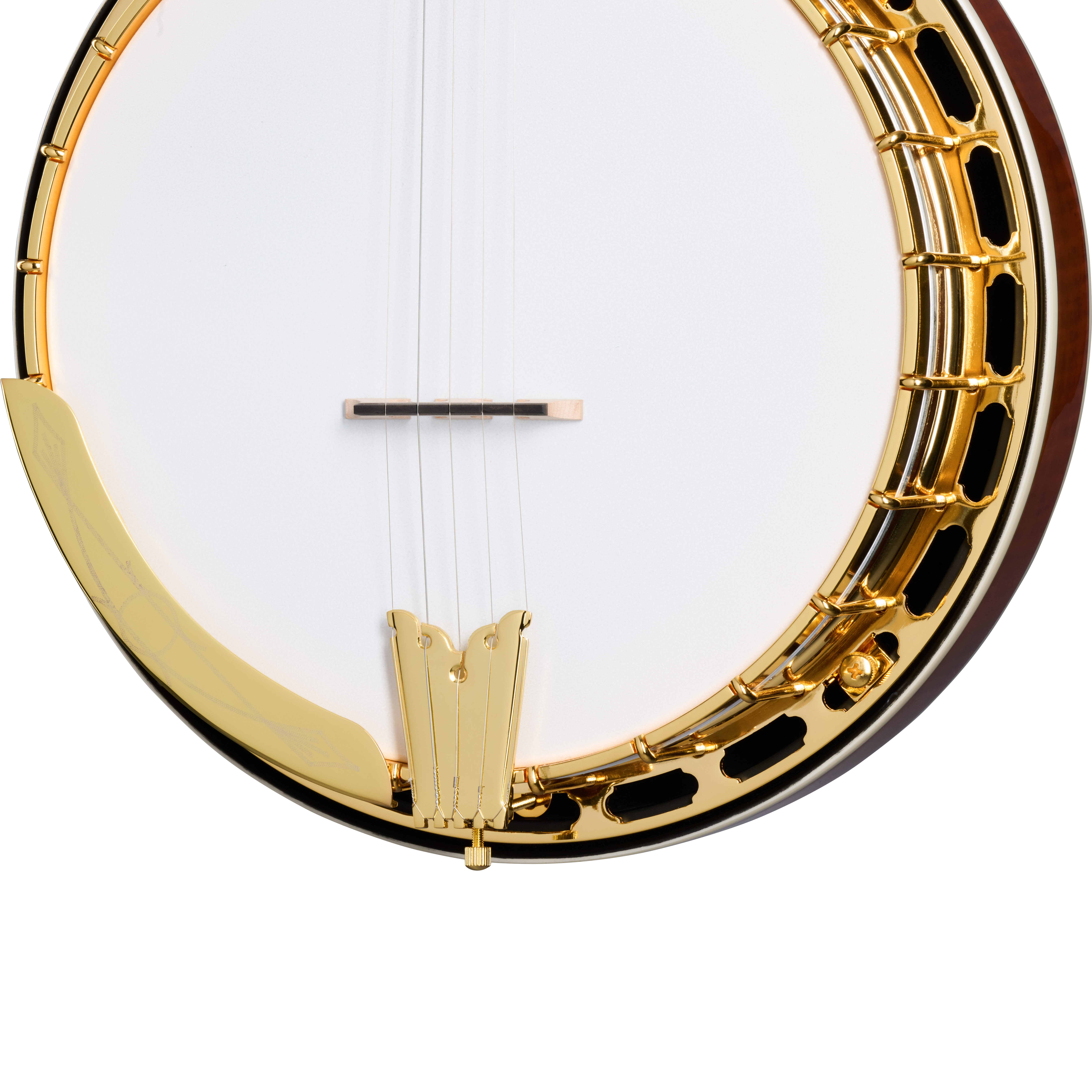 GUITARGUITAR Epiphone Earl Scruggs Golden Deluxe Banjo Natural