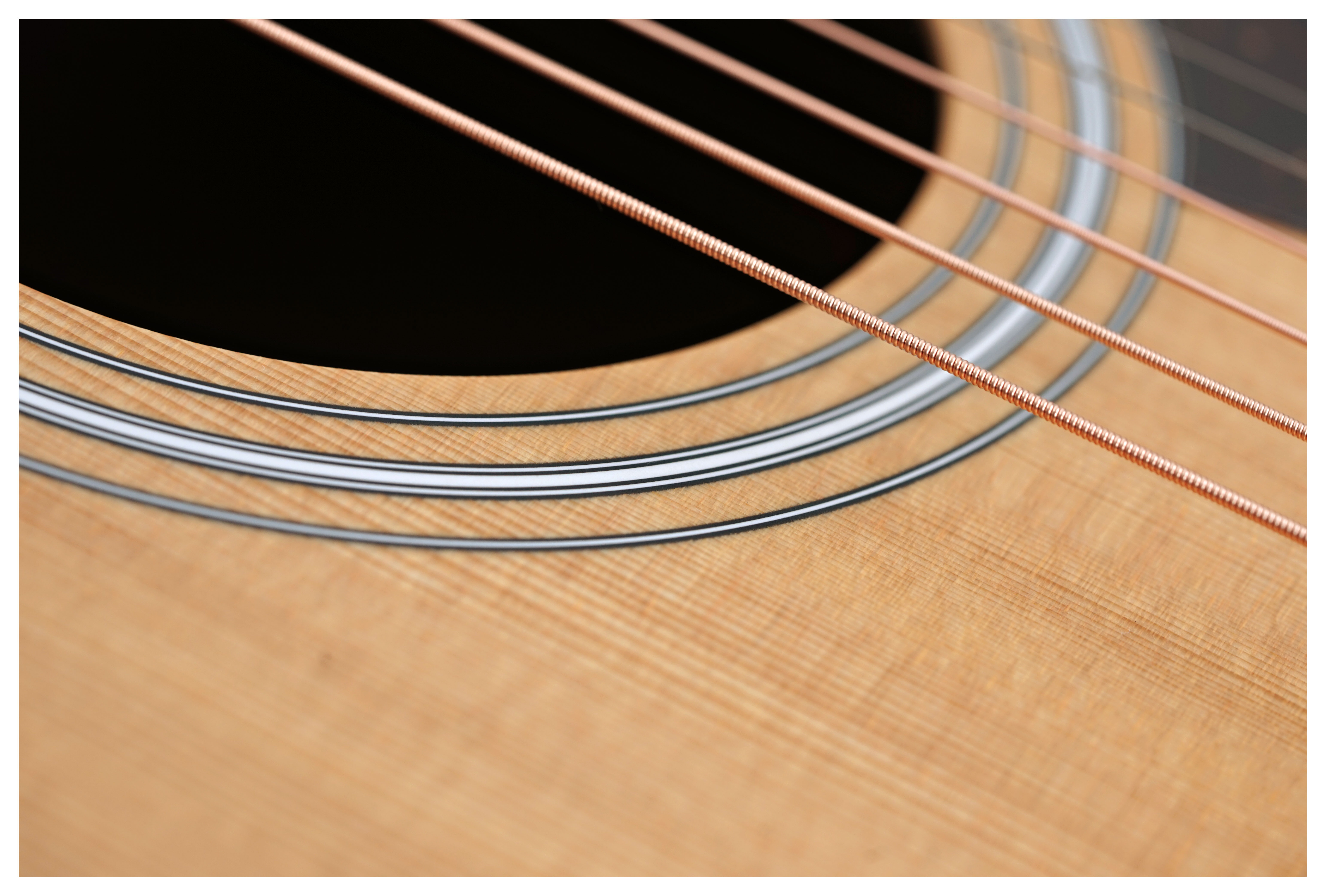 GUITARGUITAR Taylor 210ce C-Class Bracing