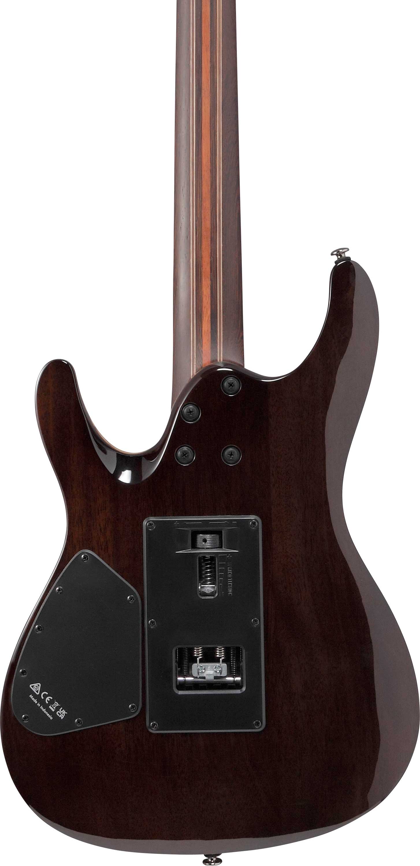 GUITARGUITAR Ibanez S1070PBZ Charcoal Black Burst