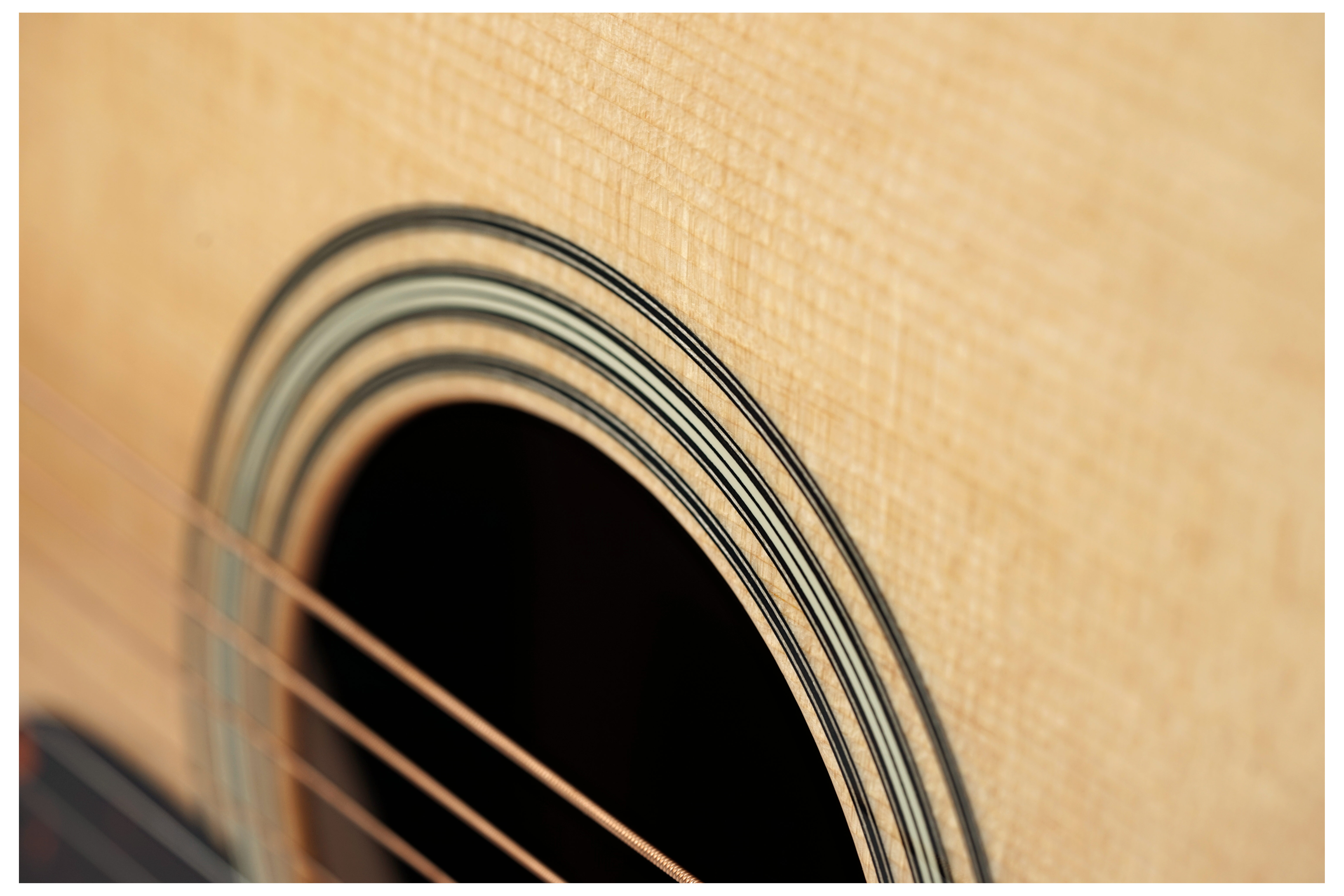 GUITARGUITAR Martin Custom Shop SD-28 Guatemalan Rosewood