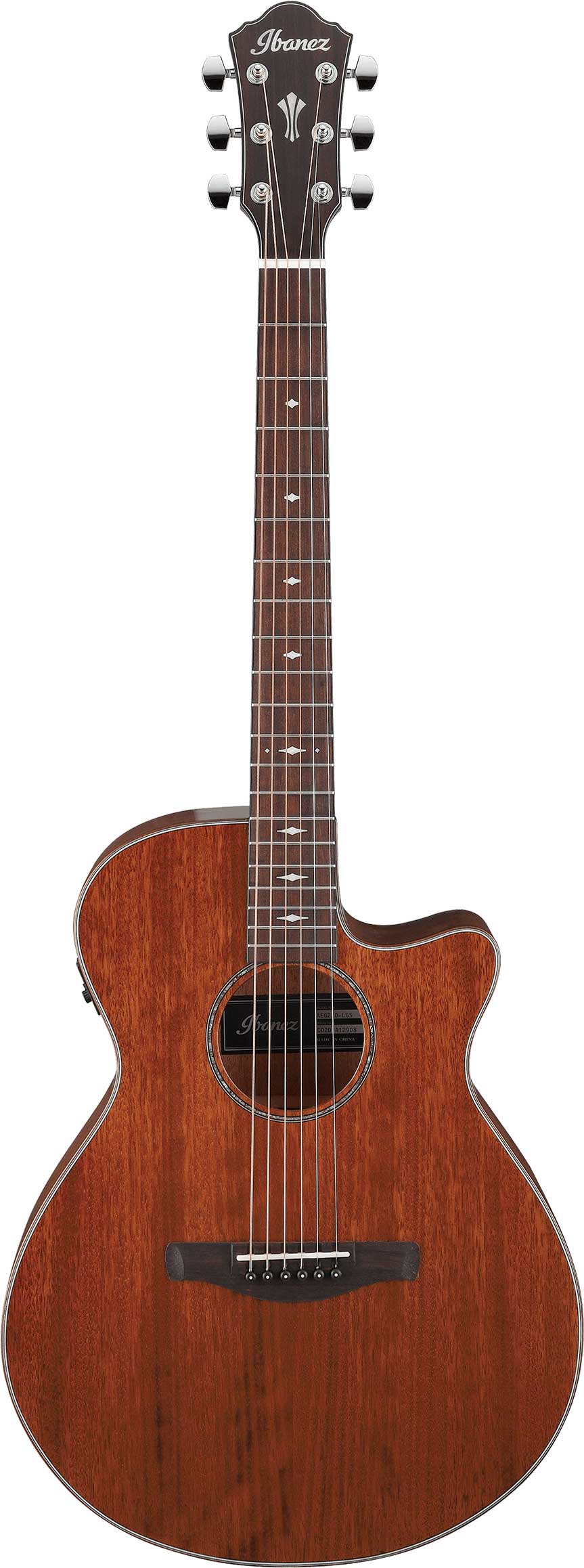GUITARGUITAR Ibanez AEG220 Natural Low Gloss