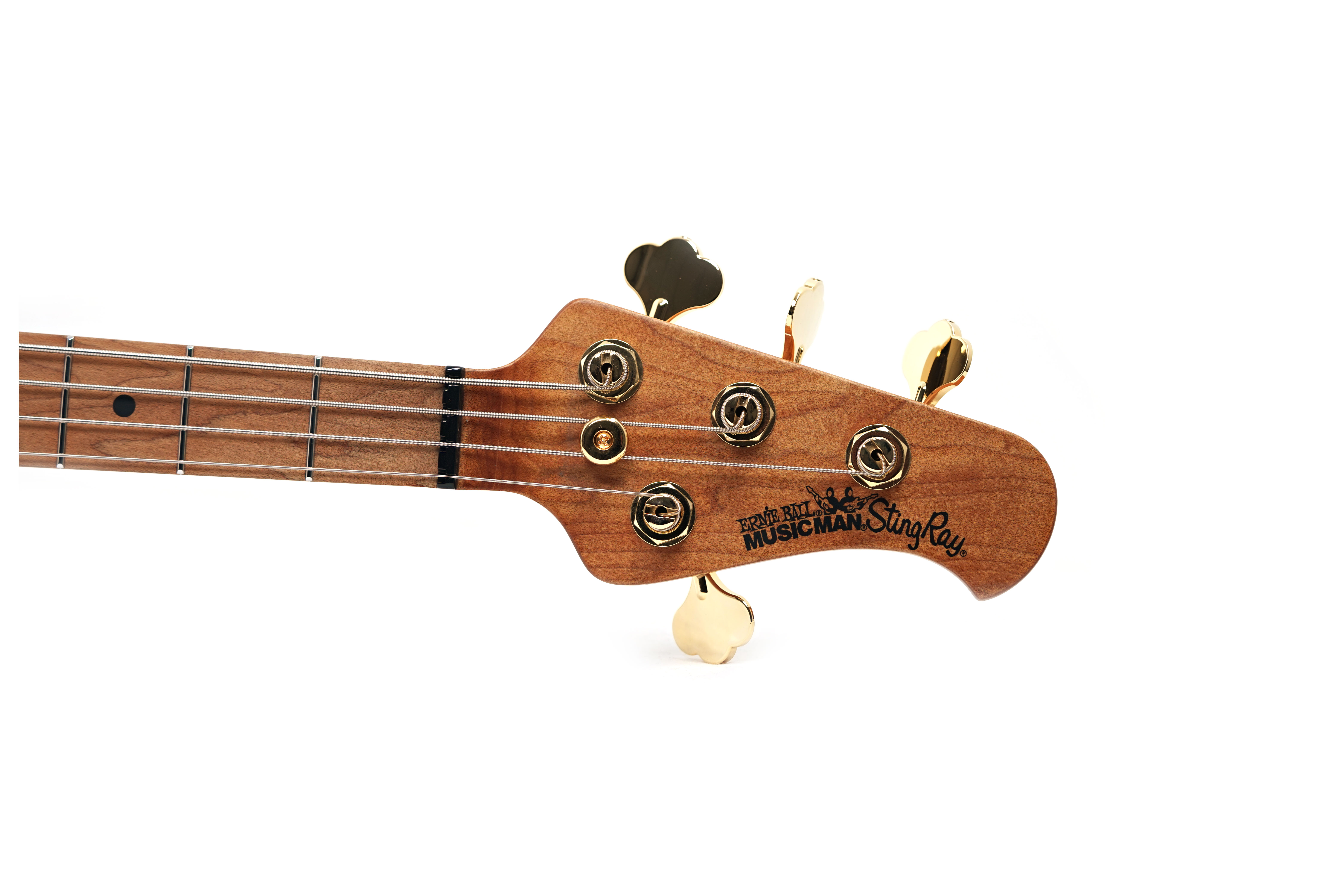 GUITARGUITAR Music Man Stingray Special 4 HH Jackpot Maple Fingerboard #K11241