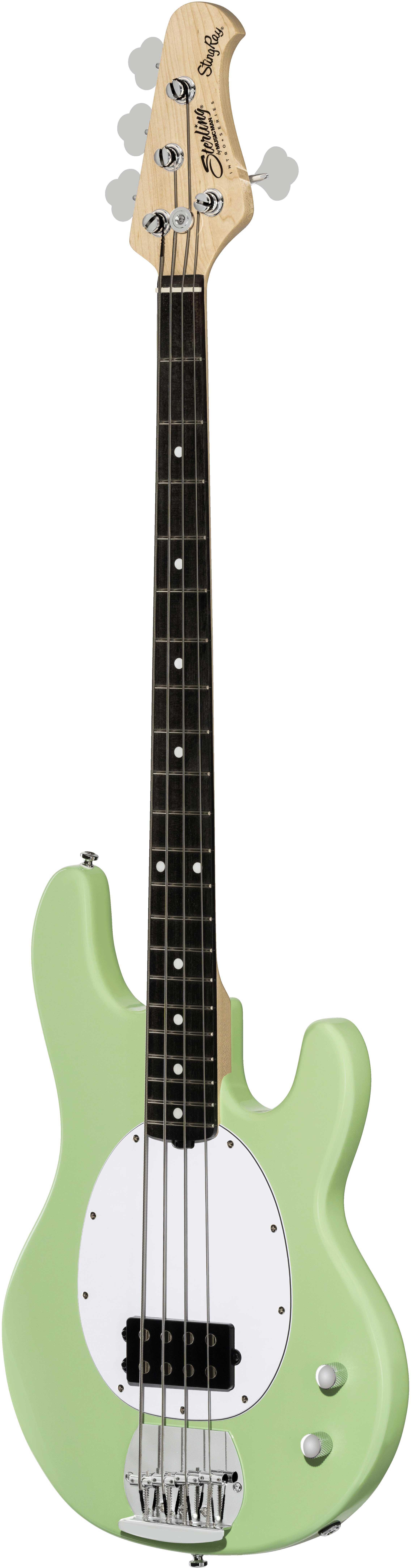 GUITARGUITAR Music Man Sterling Intro Series Stingray Ray2 Misty Green Amaranth Fingerboard