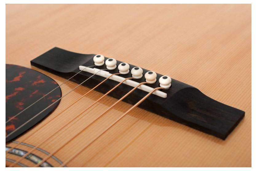 GUITARGUITAR Larrivee D-05
