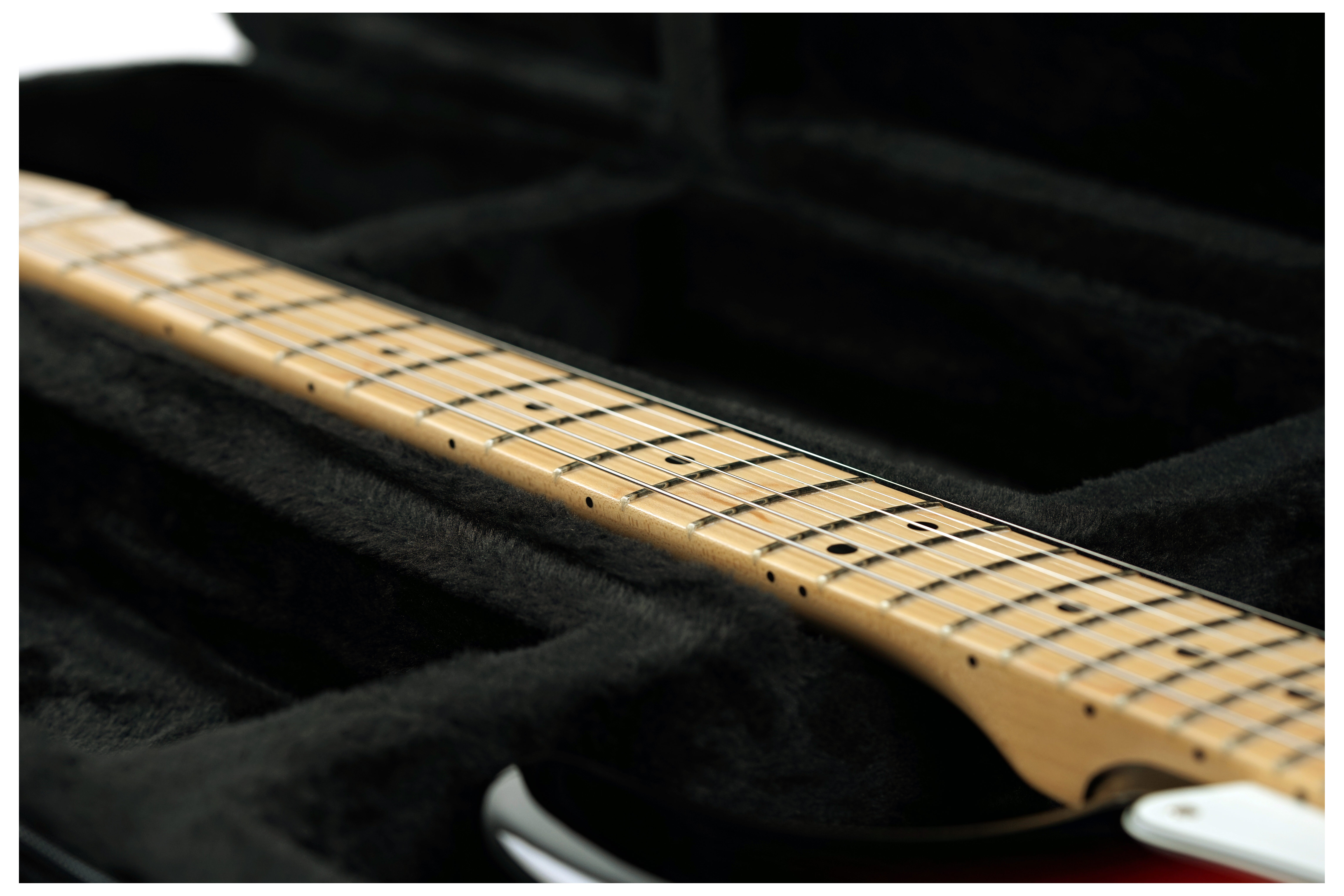 GUITARGUITAR Ordo Electric Guitar Foam Case