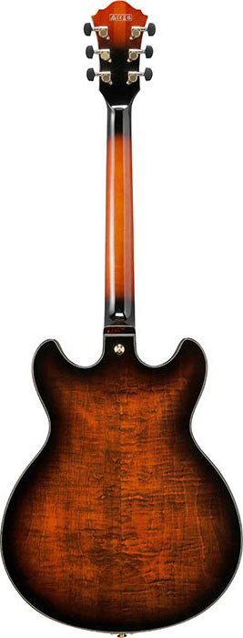 GUITARGUITAR Ibanez ASH300 Tobacco Brown