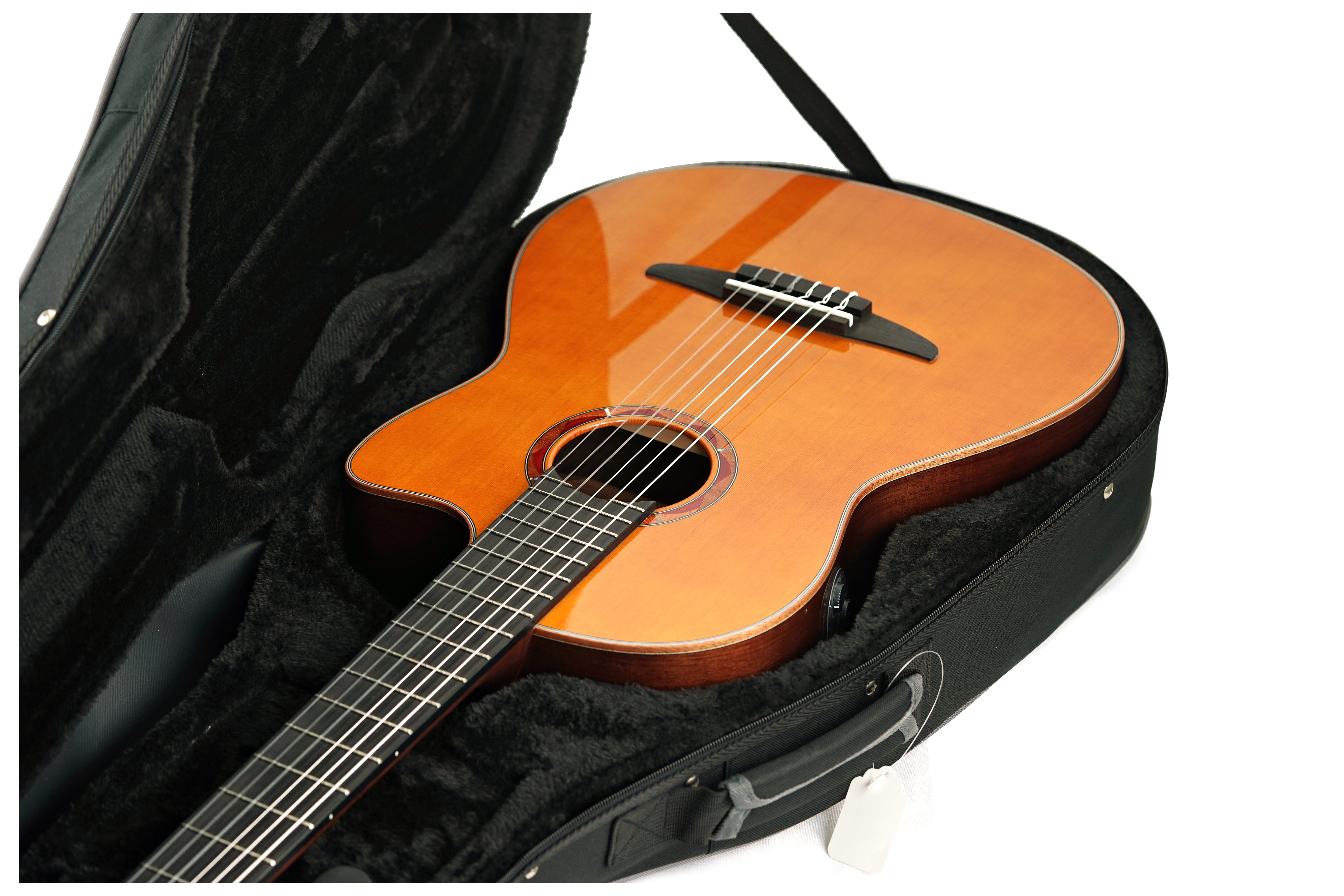 GUITARGUITAR Ordo Classical Guitar Foam Case
