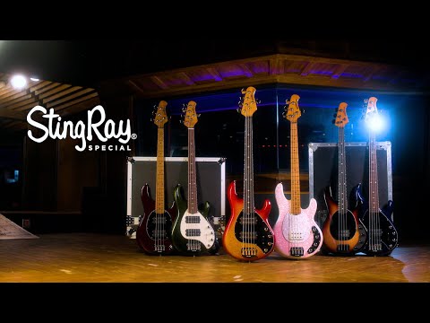 GUITARGUITAR Music Man Stingray Special Dazzler Maple Fingerboard