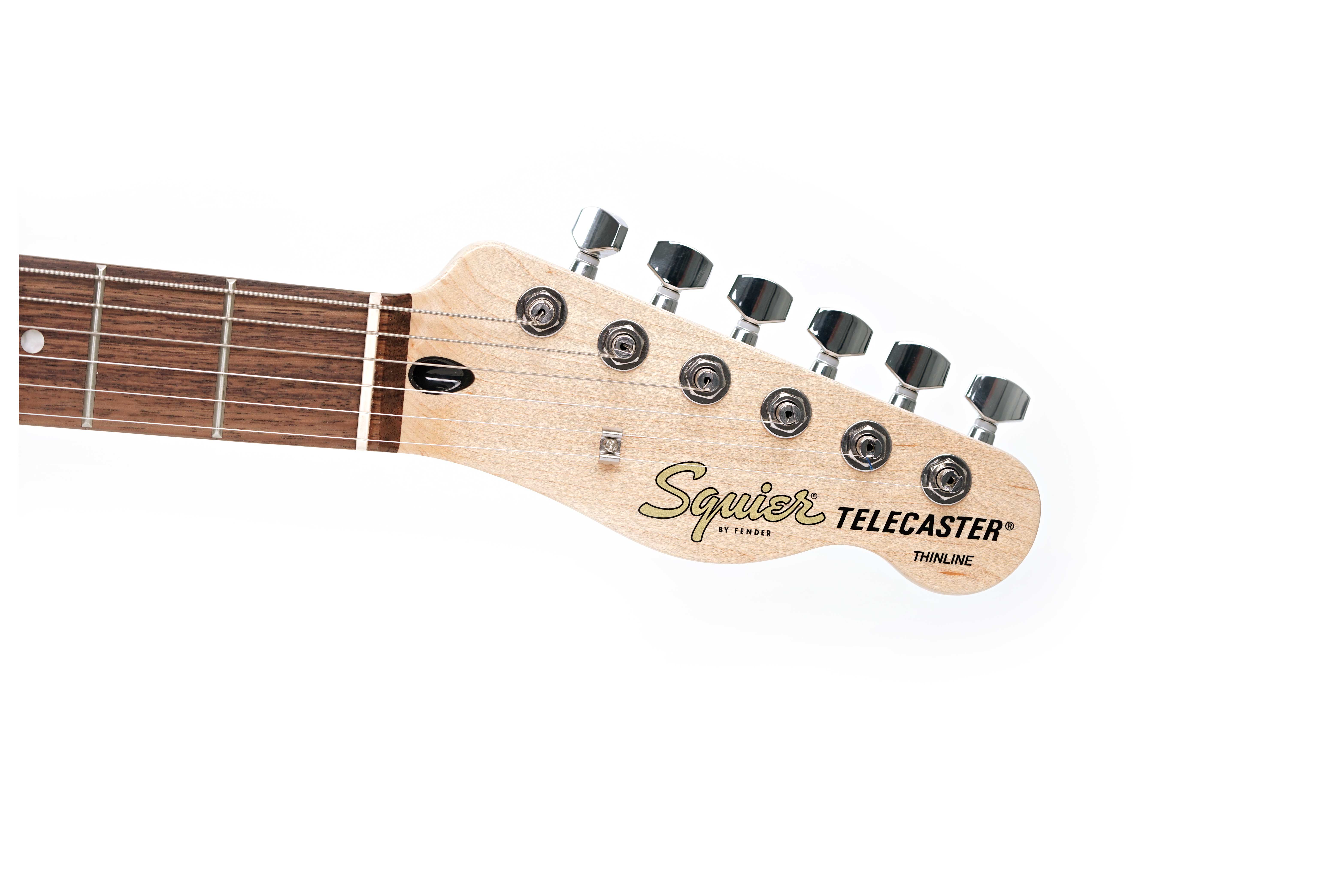 GUITARGUITAR Squier Affinity Series Telecaster Thinline Indian Laurel Fingerboard Black Pickguard Olympic White