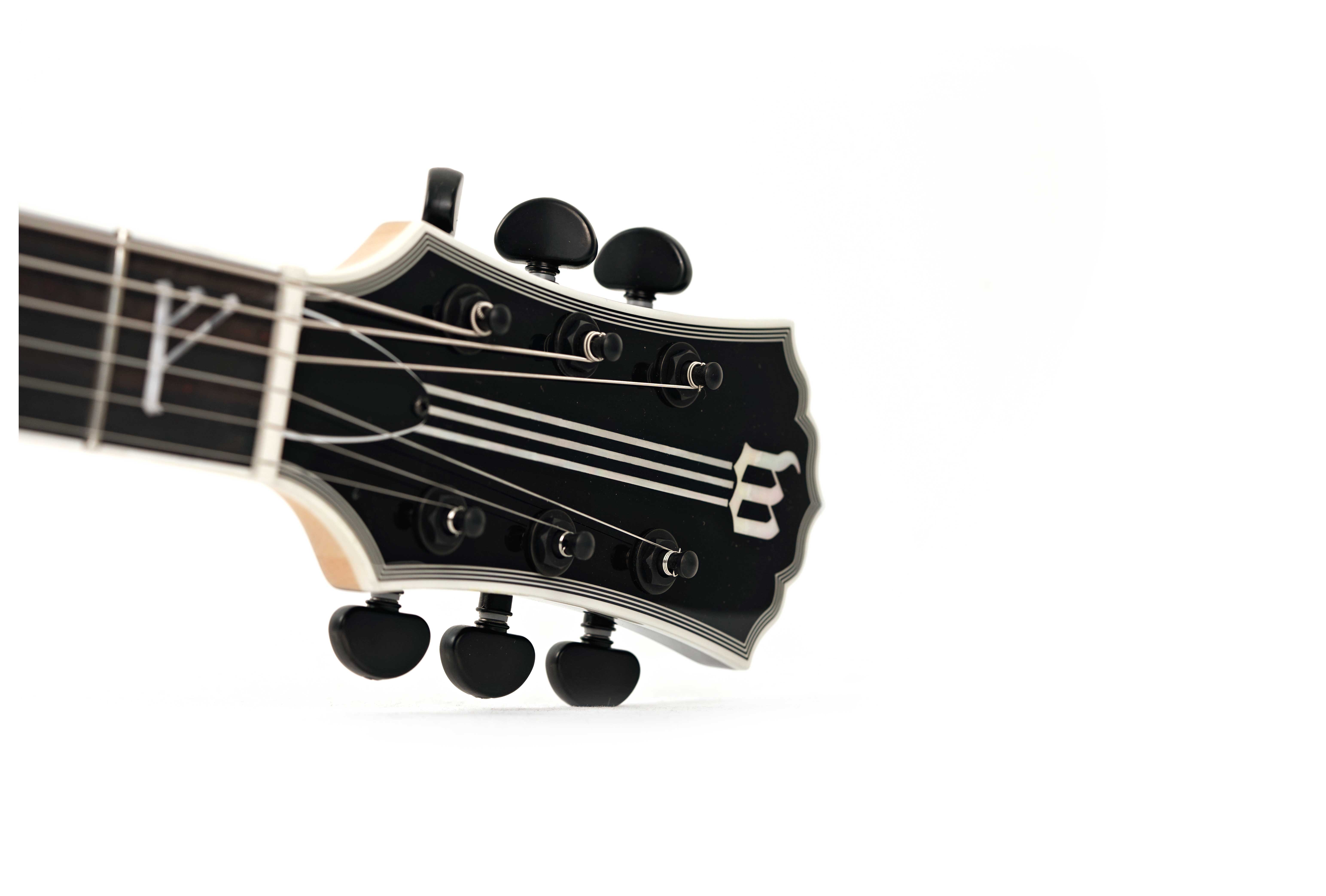 GUITARGUITAR Wylde Audio Barbarian Blood Raven
