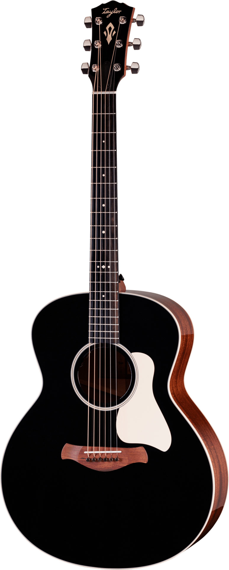 GUITARGUITAR Taylor Gold Label 514e Blacktop Super Auditorium