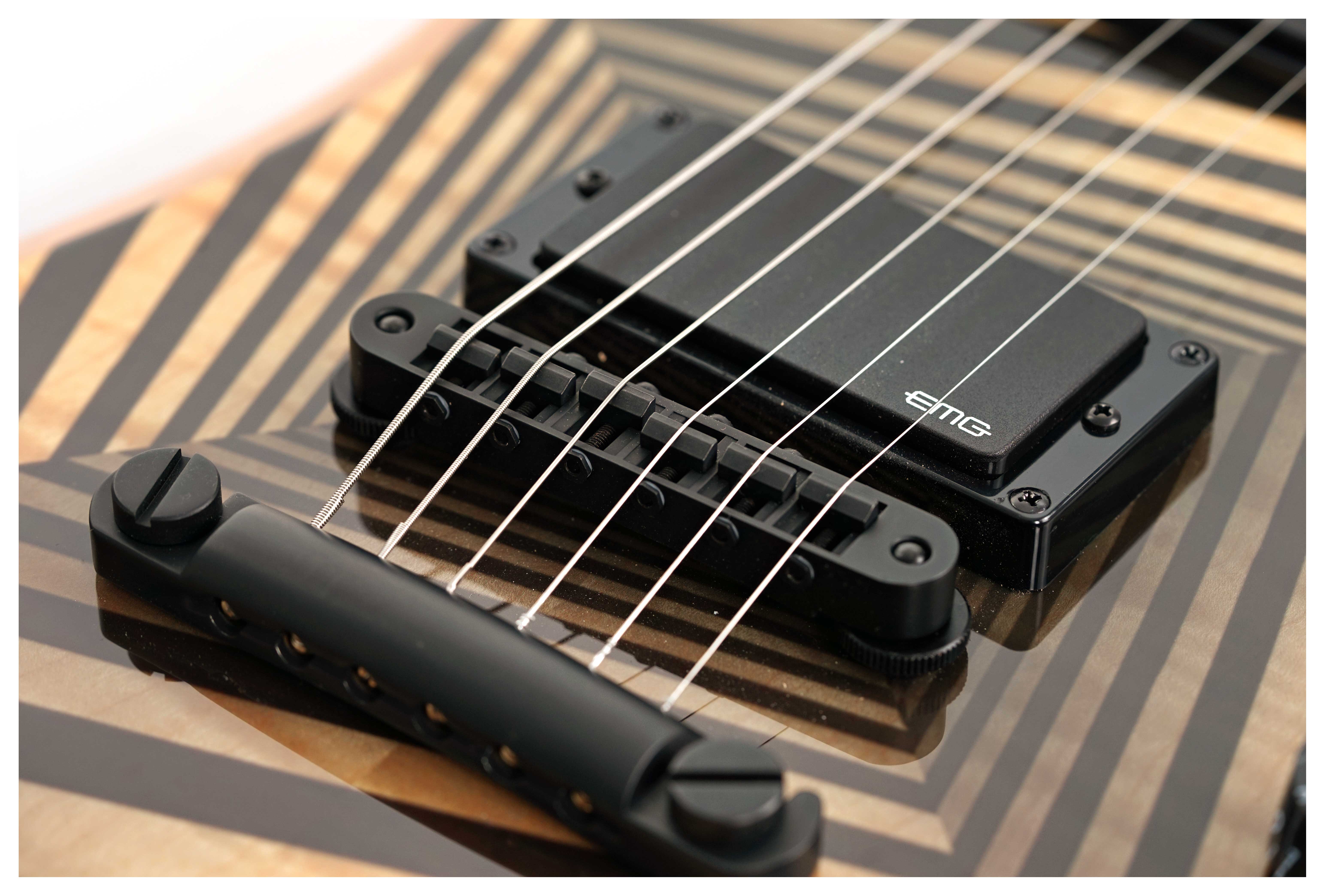 GUITARGUITAR Wylde Audio Berzerker Corridors