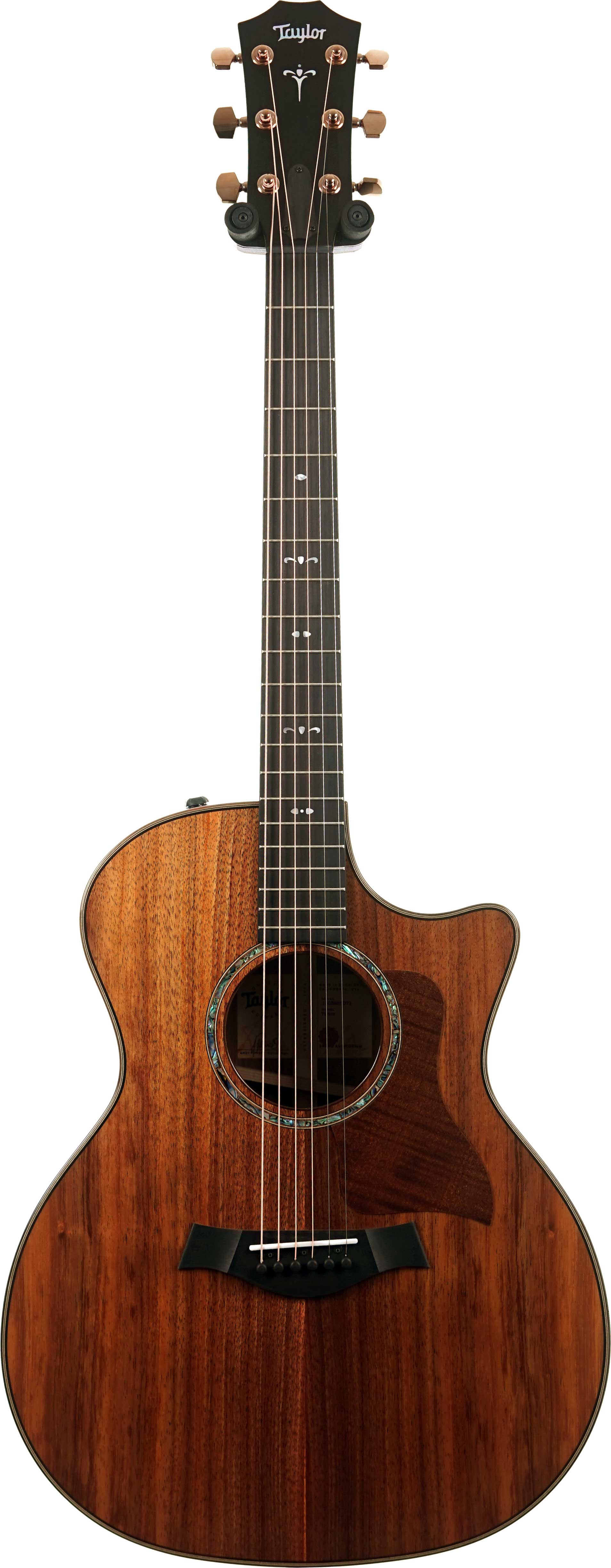 GUITARGUITAR Taylor 724ce Gloss Grand Auditorium #1203285071