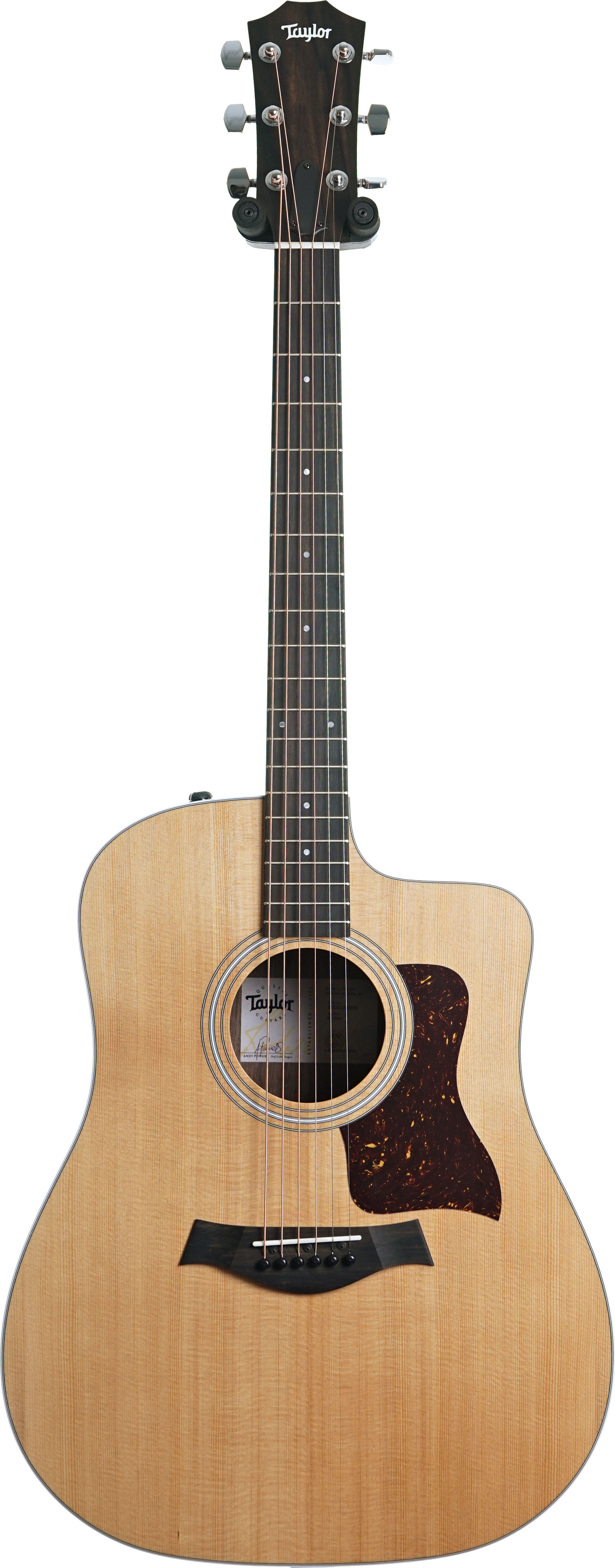 GUITARGUITAR Taylor 210ce C-Class Bracing