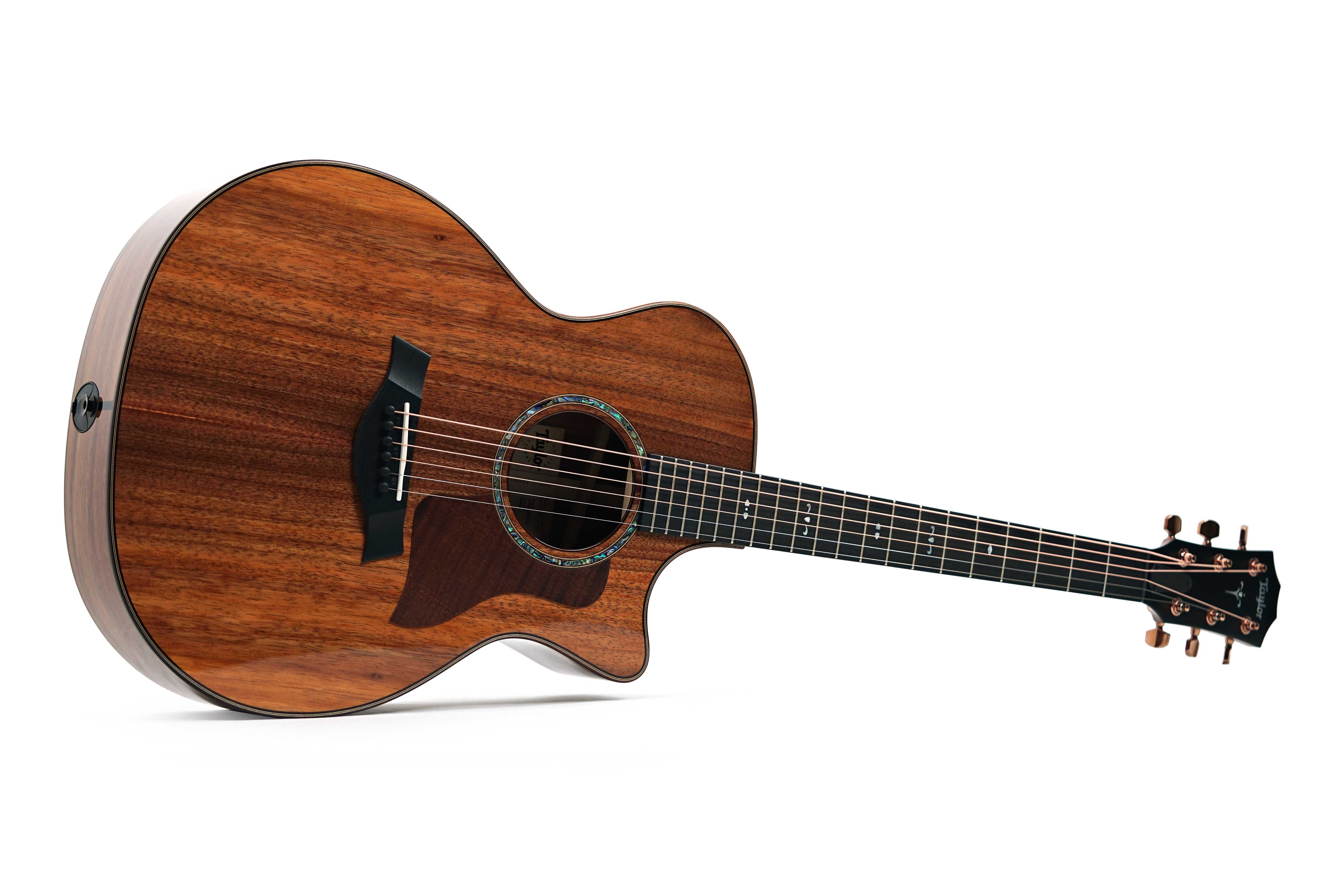 GUITARGUITAR Taylor 724ce Gloss Grand Auditorium #1203285071