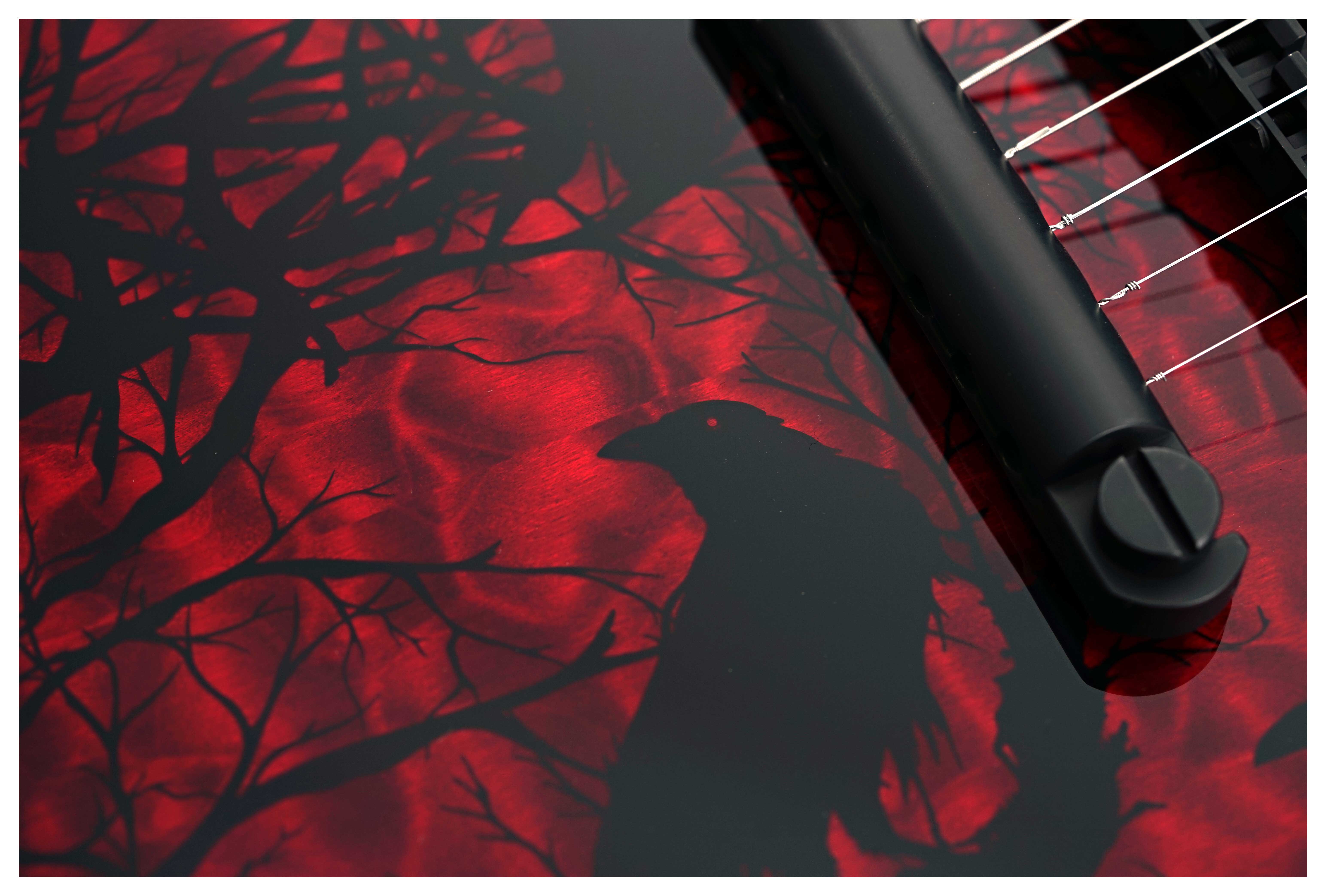 GUITARGUITAR Wylde Audio Barbarian Blood Raven