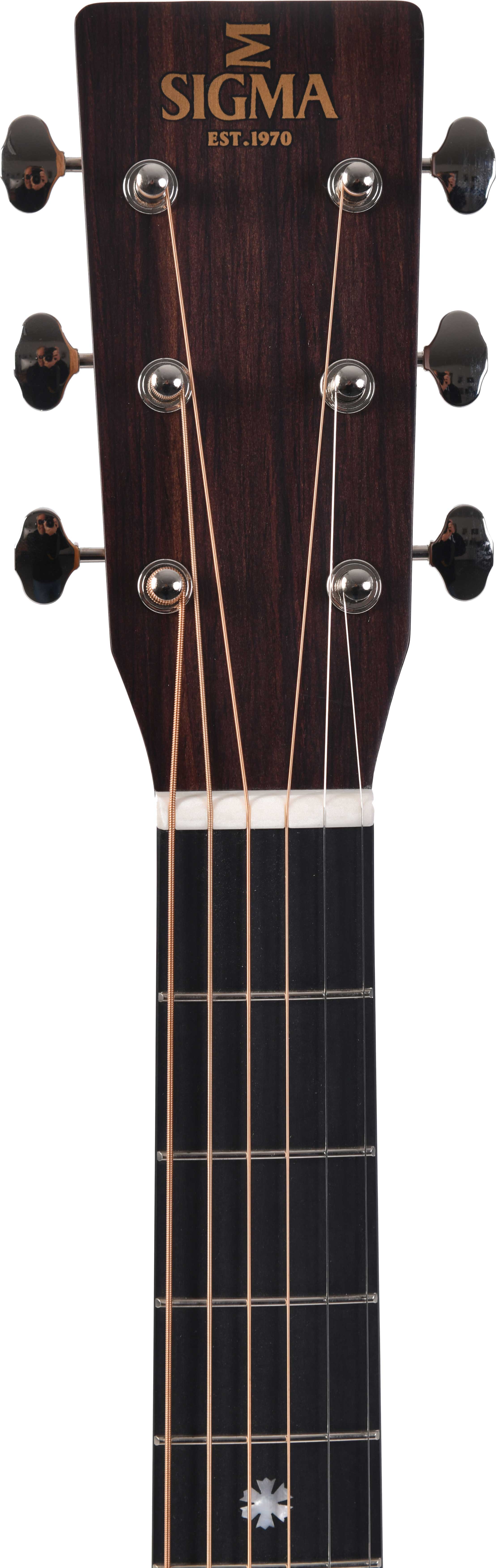 GUITARGUITAR Sigma SDP-10E Sitka Spruce / Pau Ferro