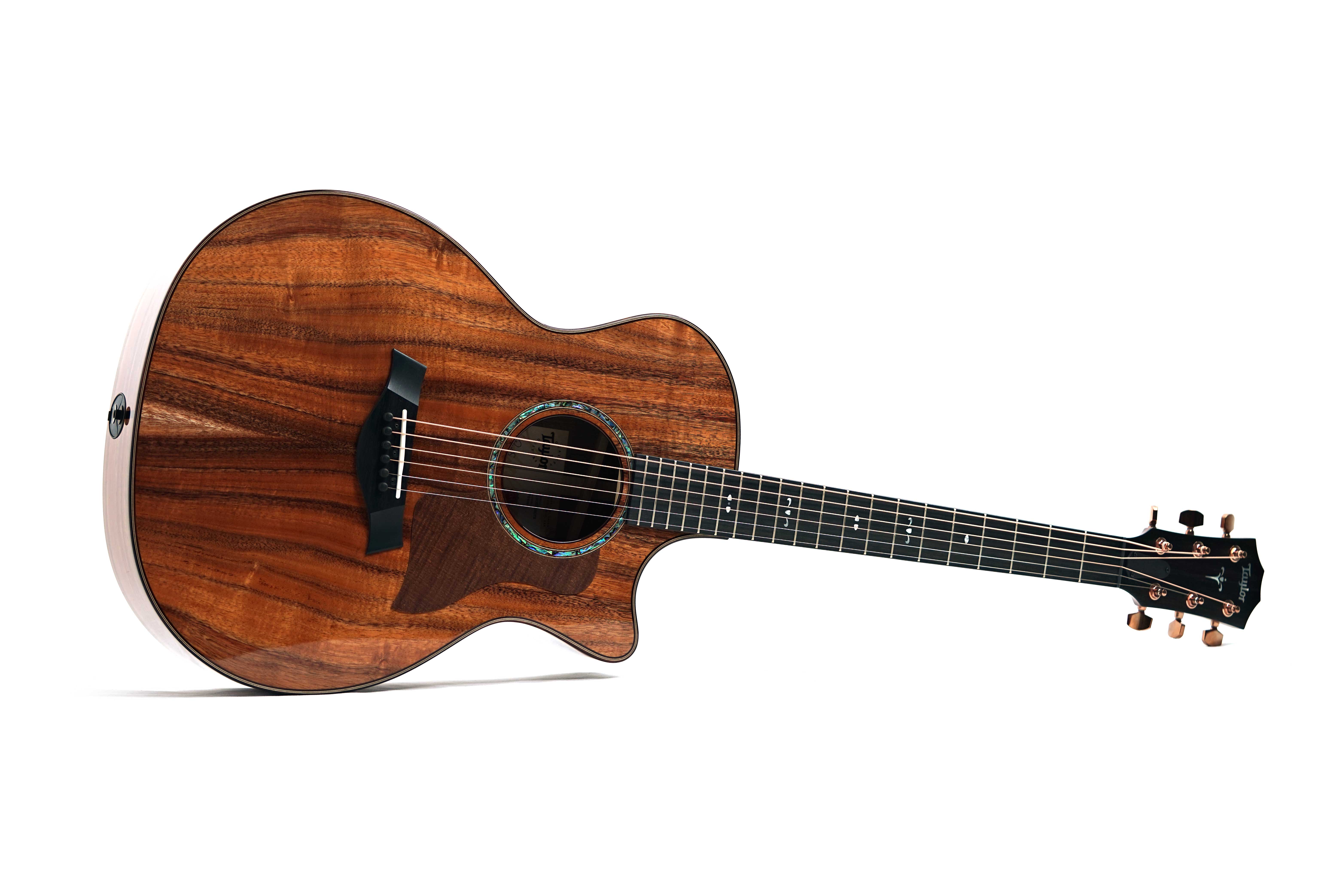 GUITARGUITAR Taylor 724ce Gloss Grand Auditorium #1203285072