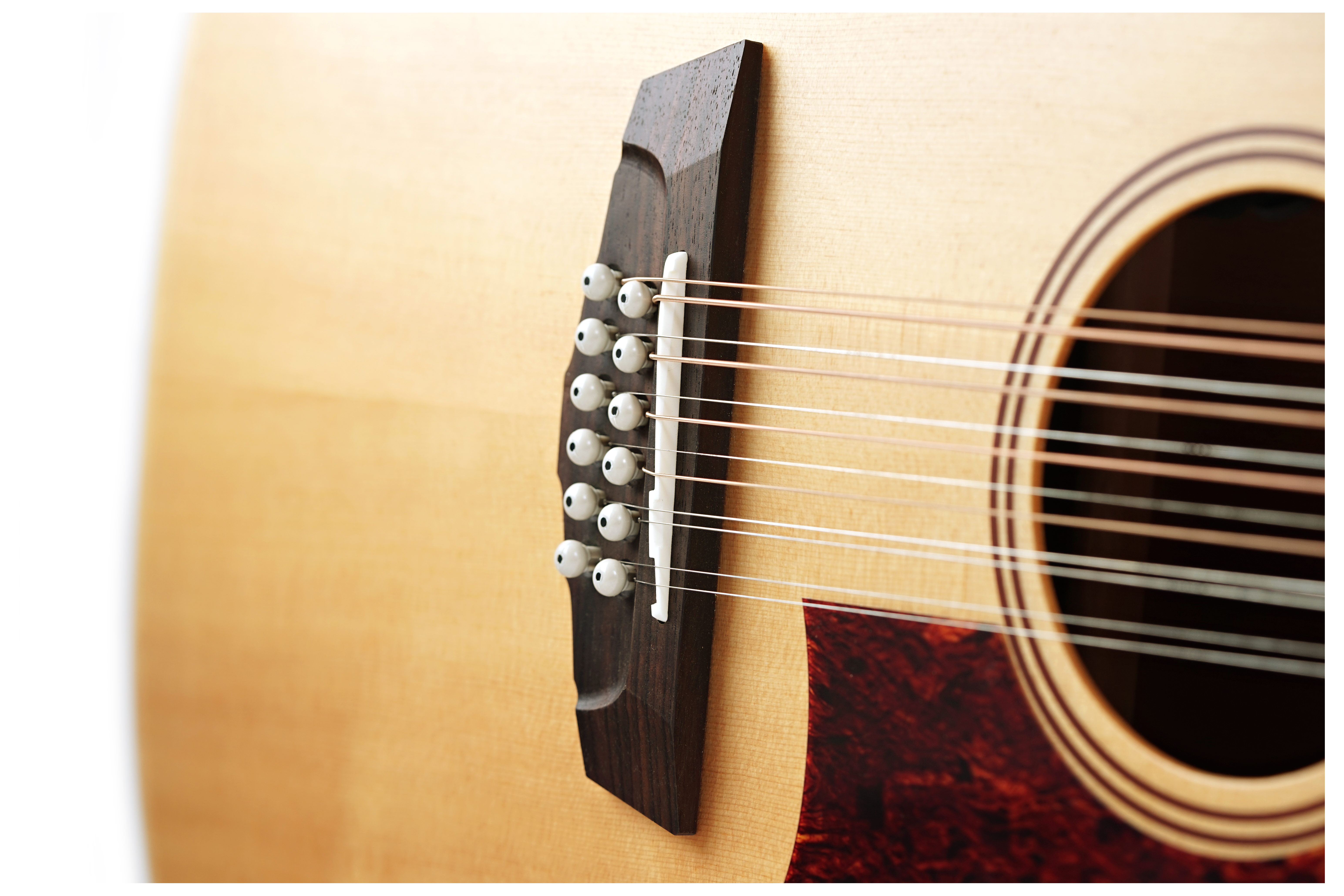 GUITARGUITAR D'Angelico Premier Fulton Grand Auditorium 12-String CE Natural
