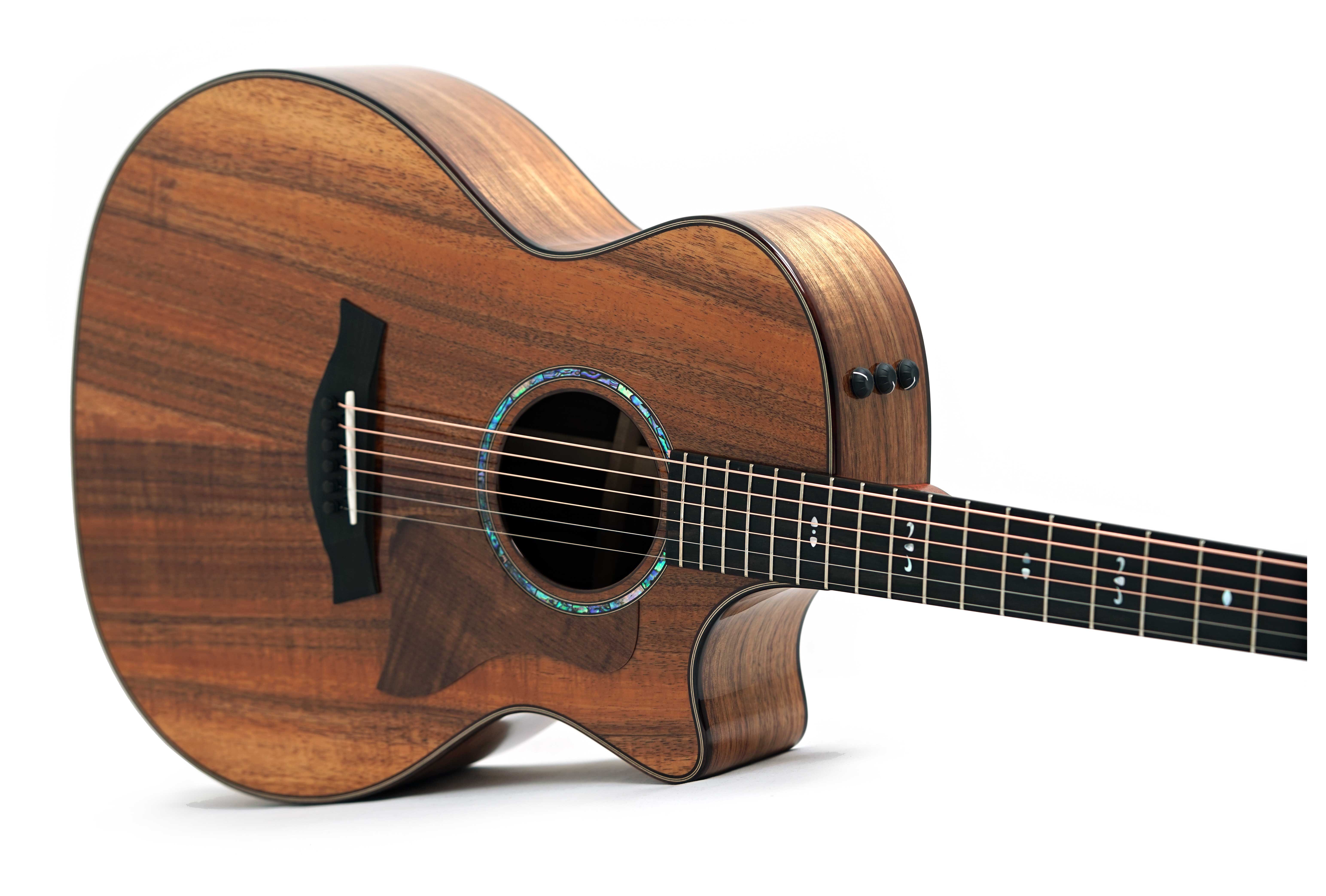 GUITARGUITAR Taylor 724ce Gloss Grand Auditorium #1203255080
