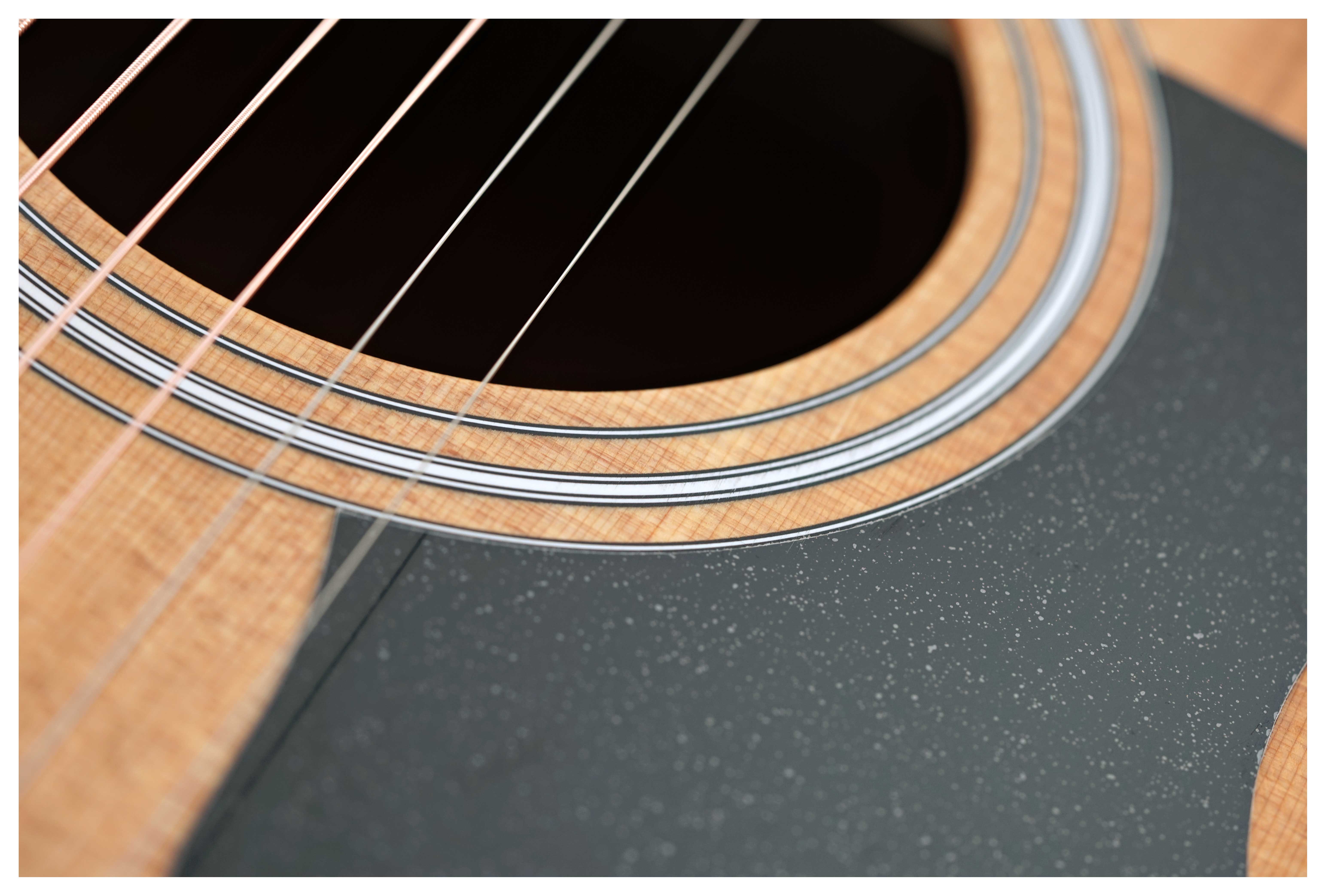 GUITARGUITAR Taylor 110ce-S Sapele C-Class Bracing