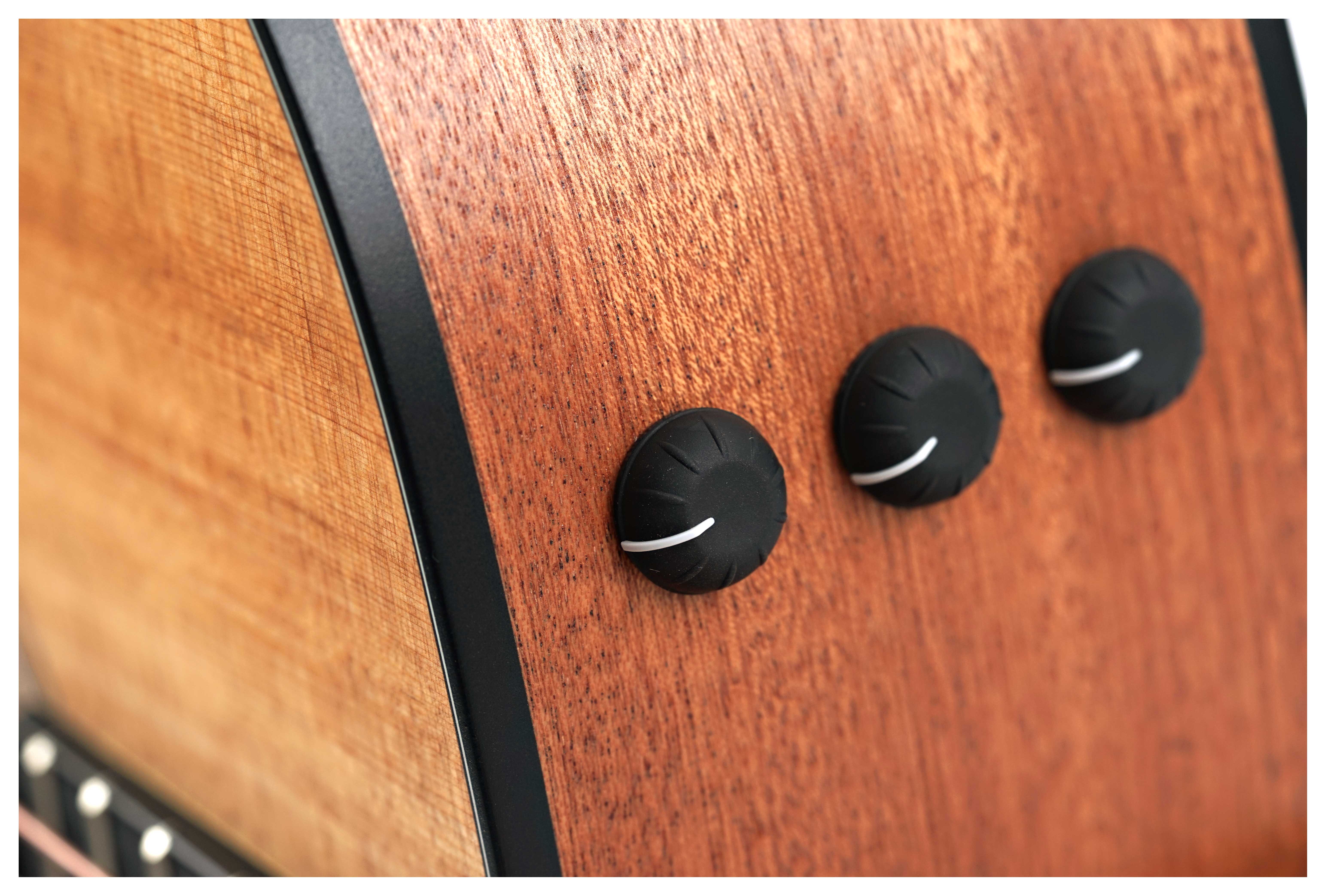 GUITARGUITAR Taylor 110ce-S Sapele C-Class Bracing