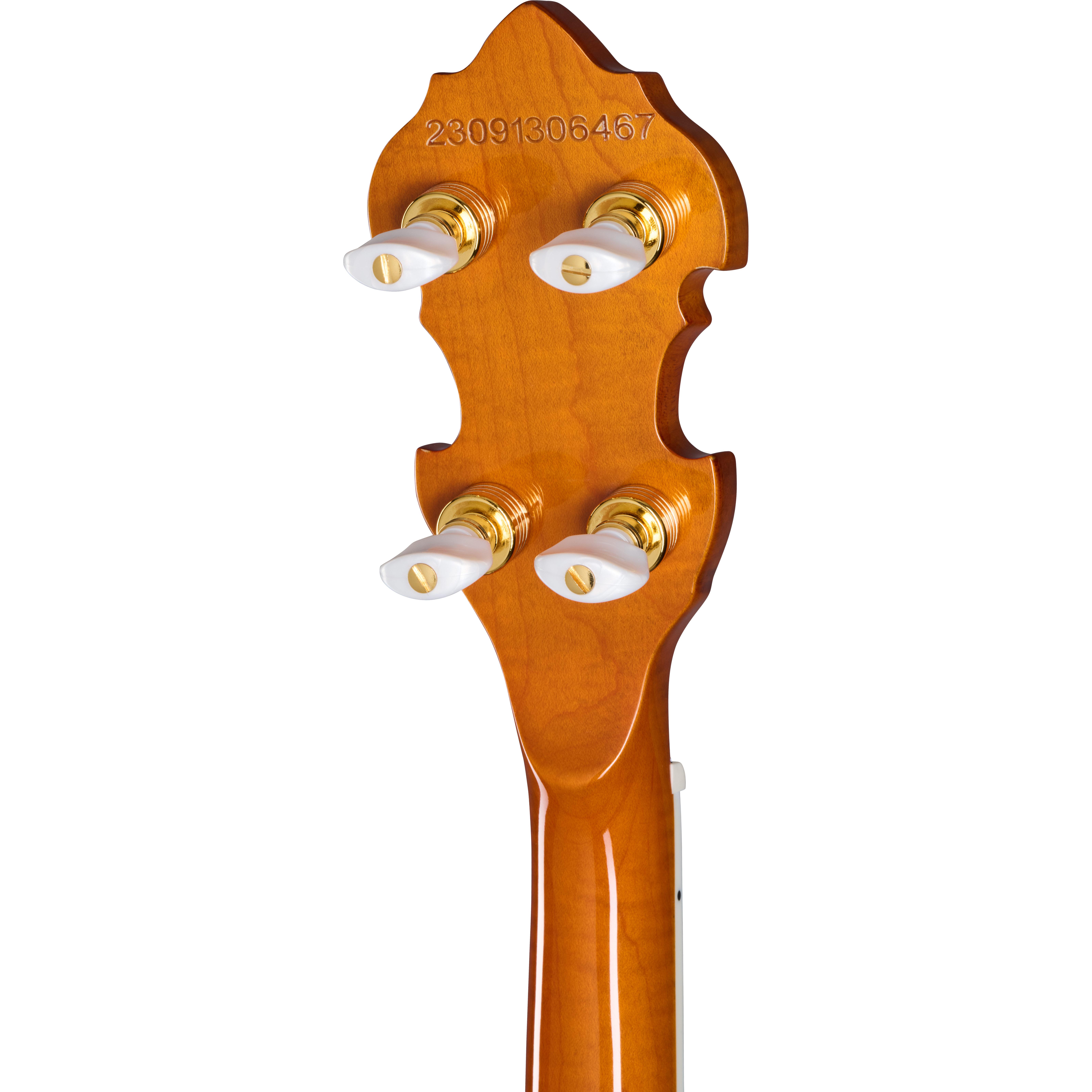 GUITARGUITAR Epiphone Earl Scruggs Golden Deluxe Banjo Natural