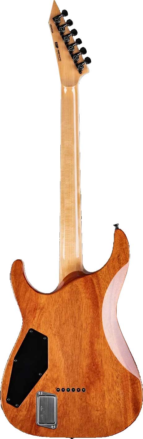 GUITARGUITAR ESP USA Horizon II FM BH STBCSB FL