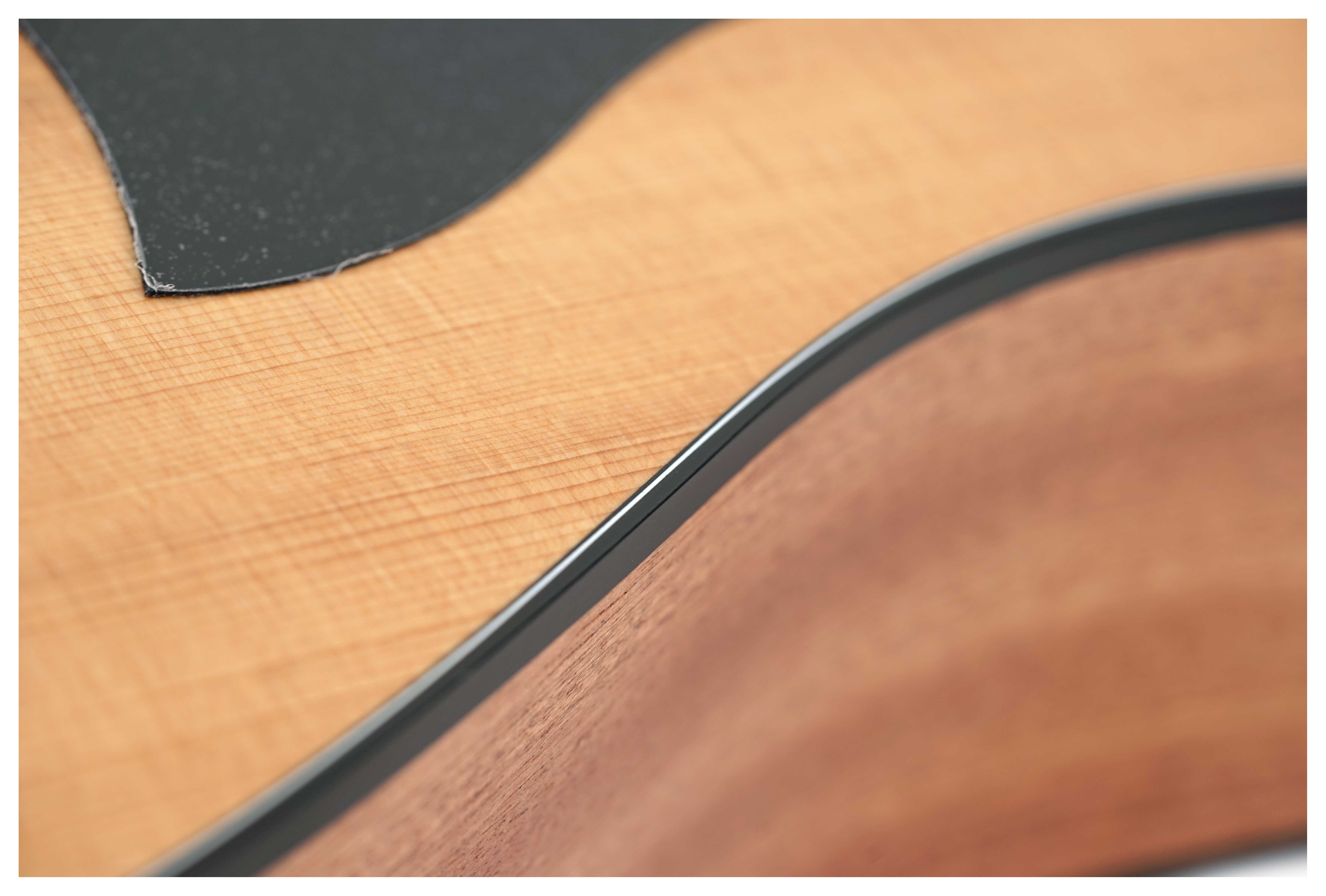 GUITARGUITAR Taylor 110ce-S Sapele C-Class Bracing